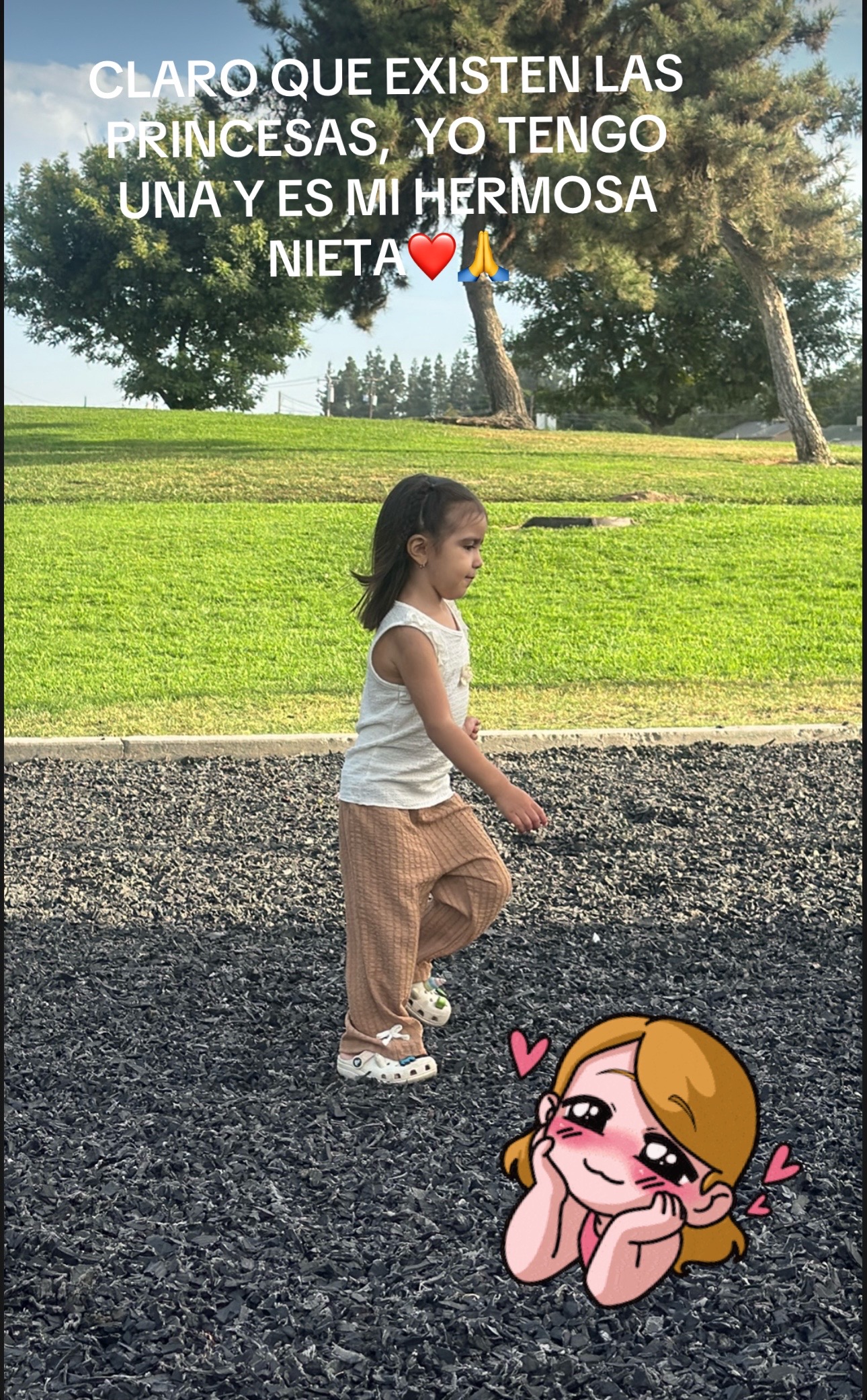 @🐚🐚@GRACIELA ÁVALOS MICHEL🐚