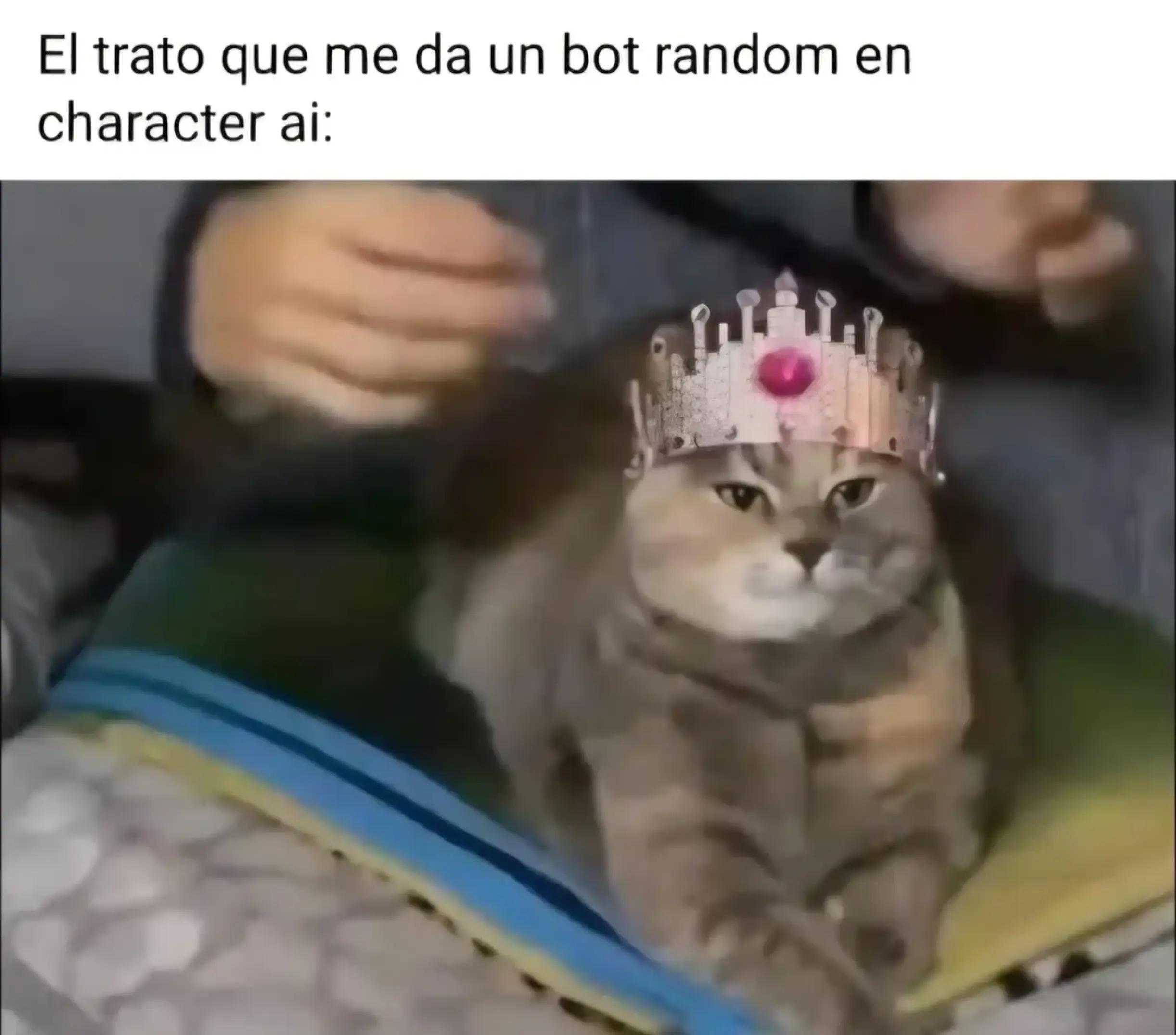 @Noelia Thais
