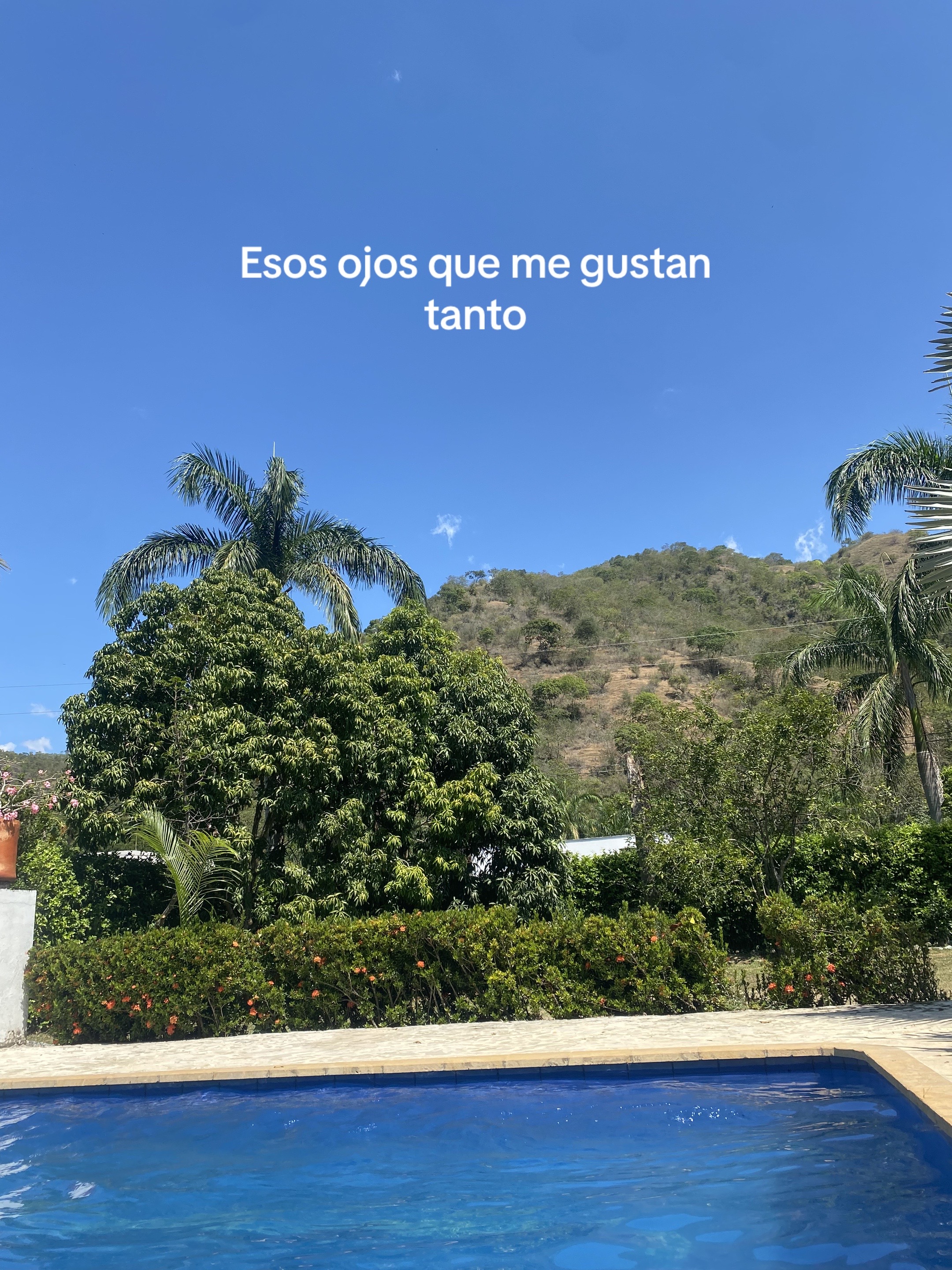 @Sophia