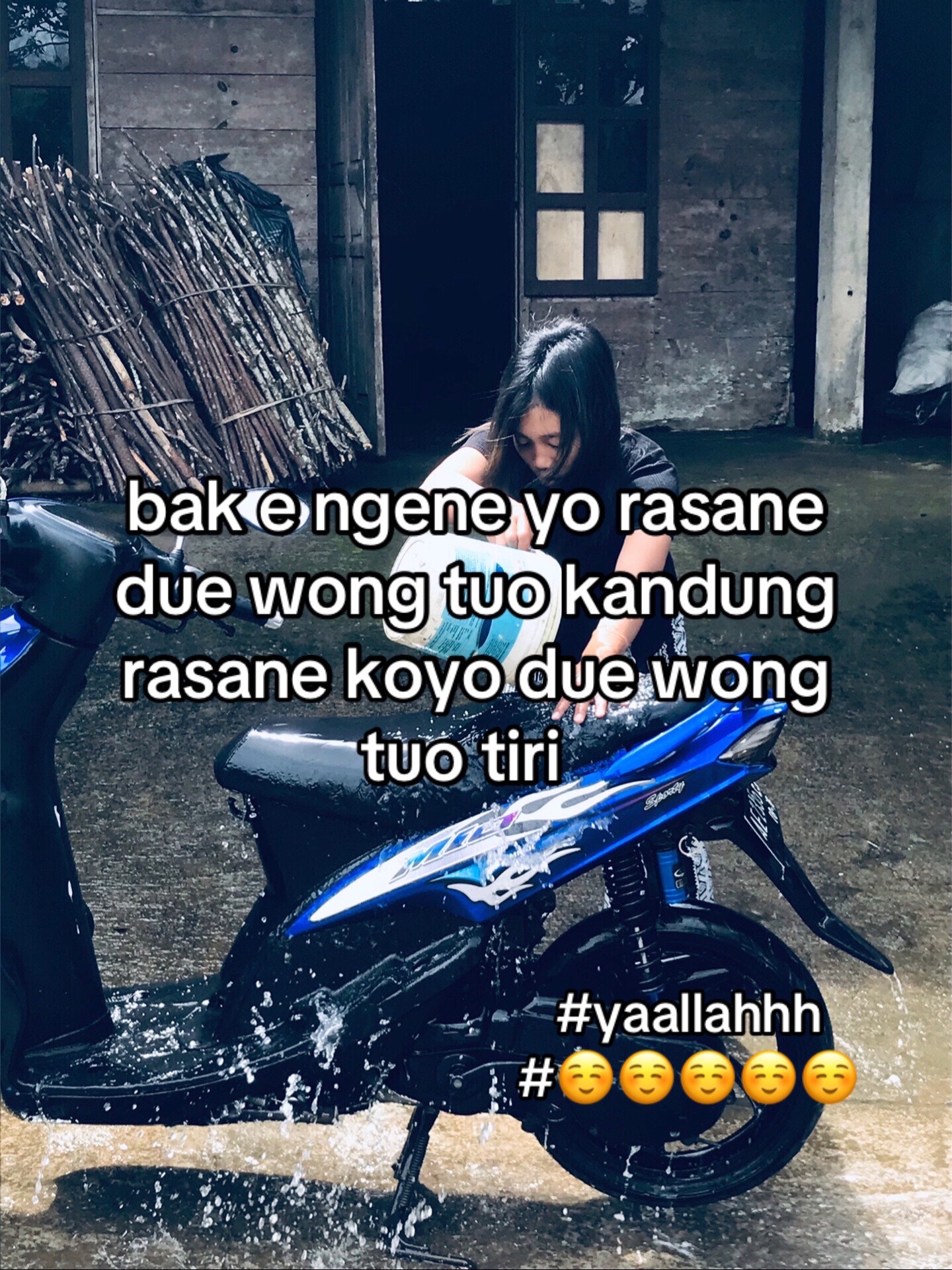 @dla v3