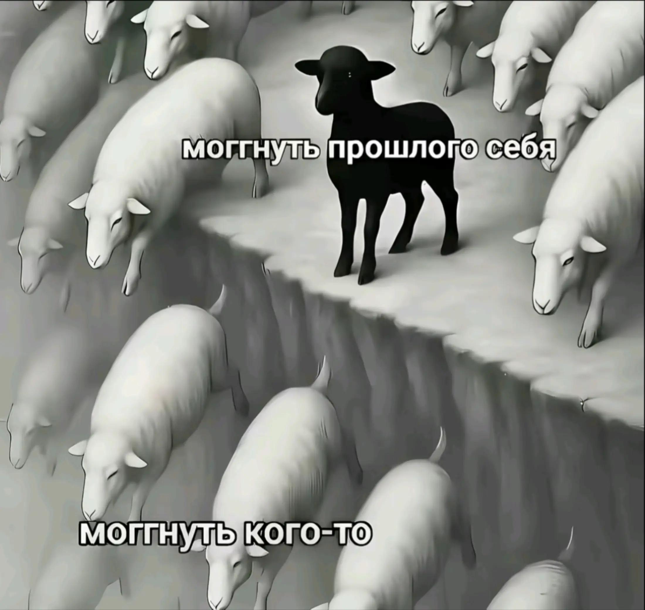 @VIP VIKTORY