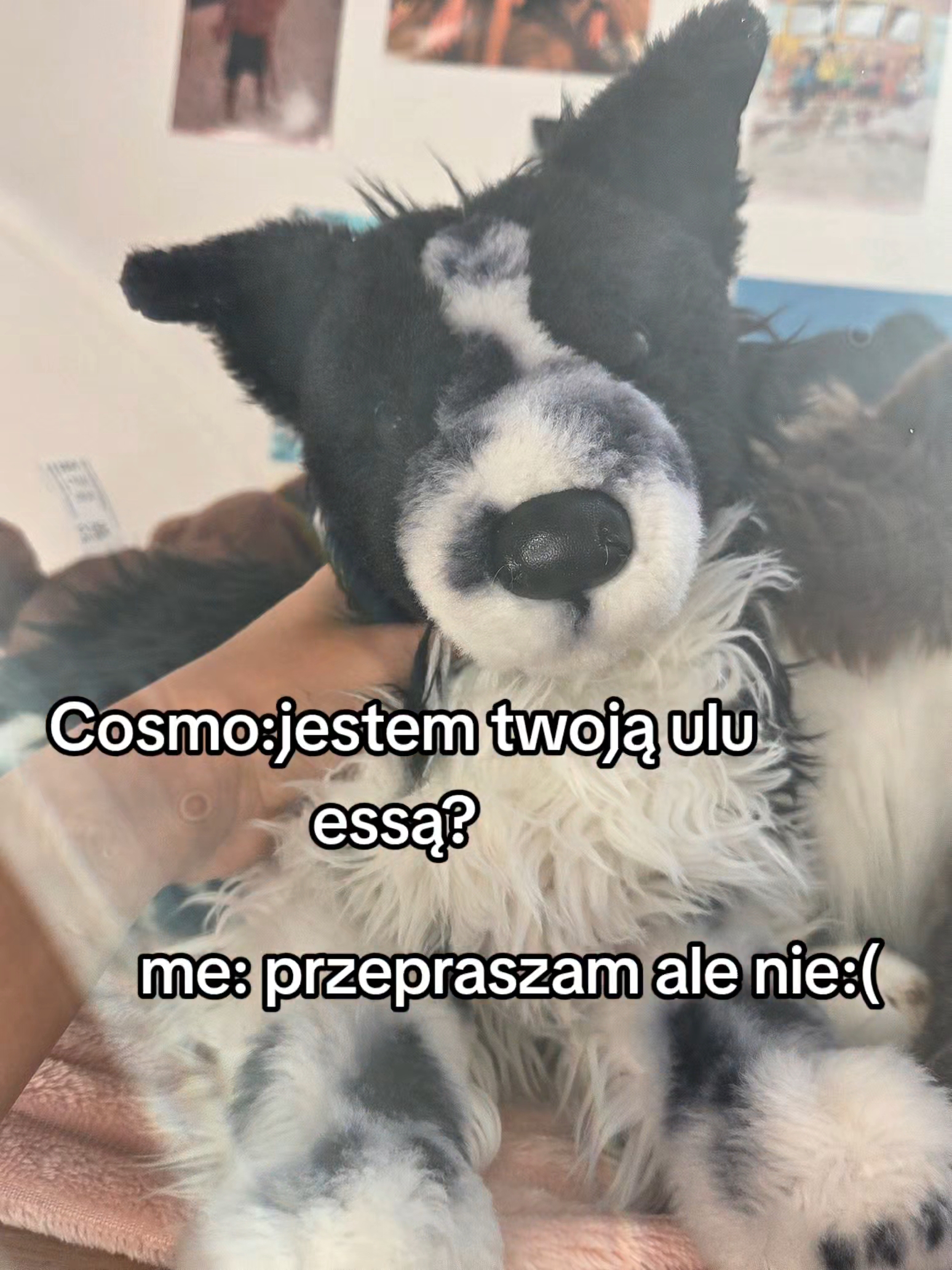 @🐾🕷🪶✫➴𝚃𝚛¡𝚡!𝟹➶✬🪶 🕷🐾