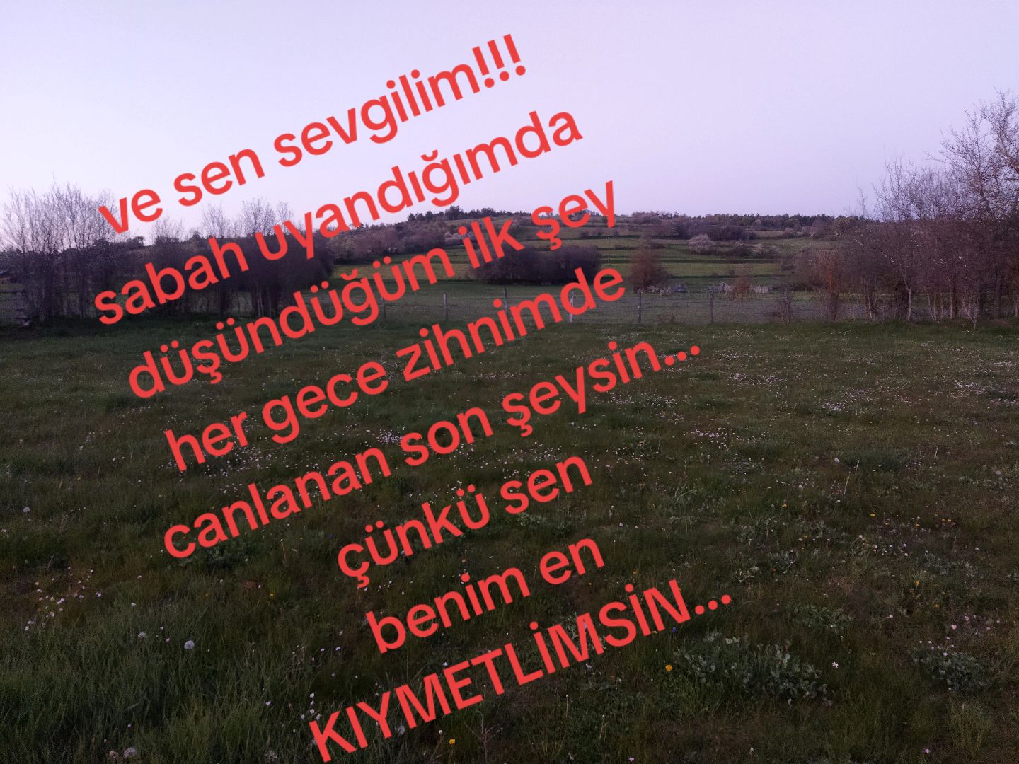 @MEHMET37