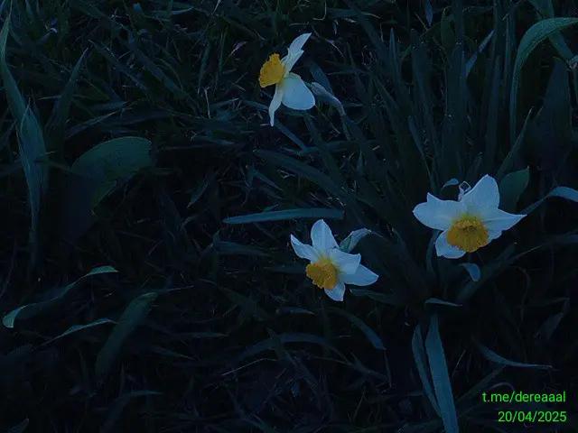 @егор йогор