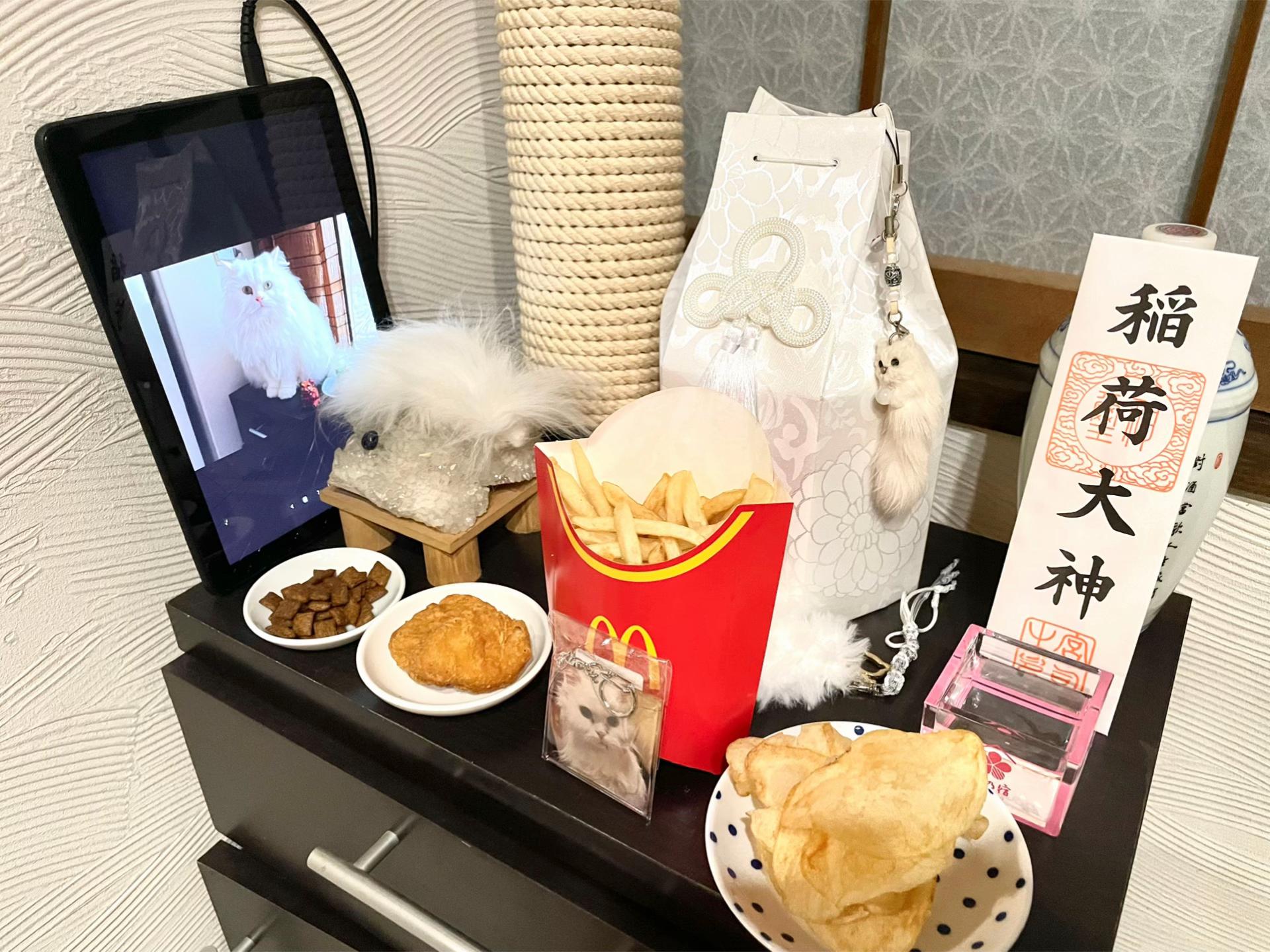 @科戸🍃🌪️shinato