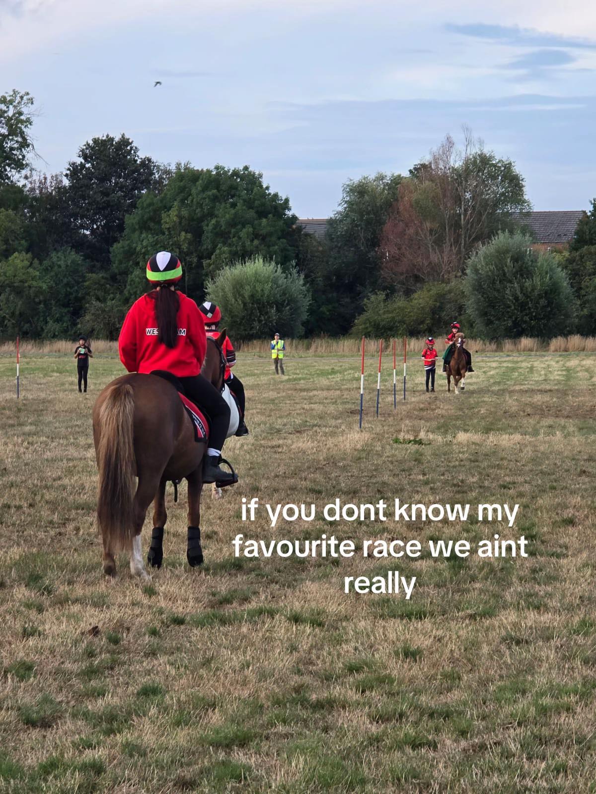 @shelbyshorseaccount