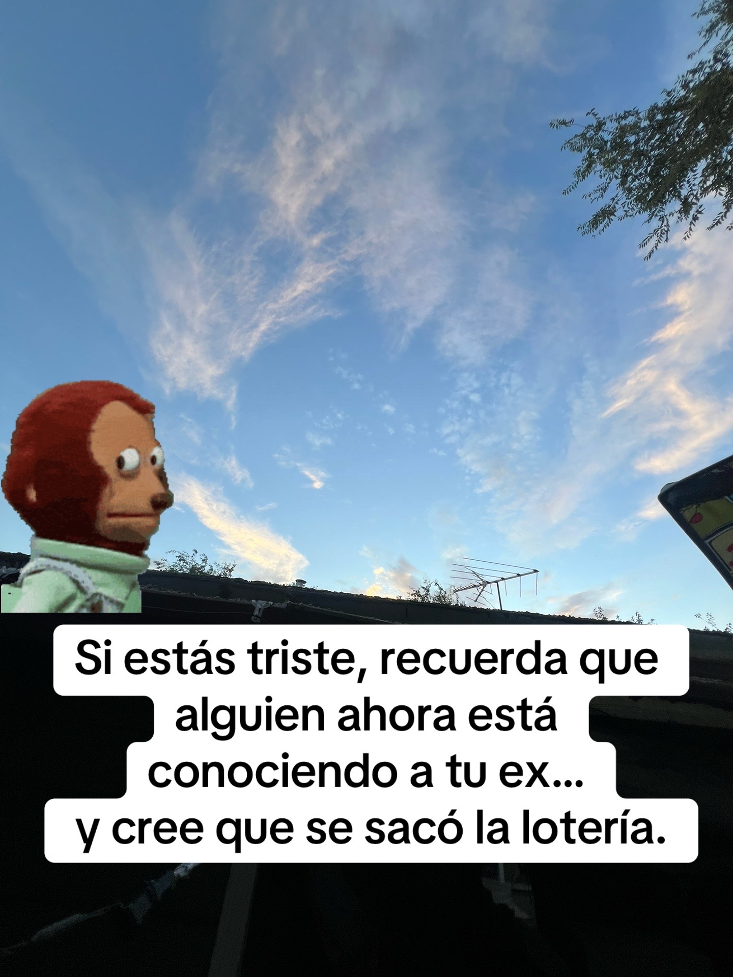 @LaJarocha