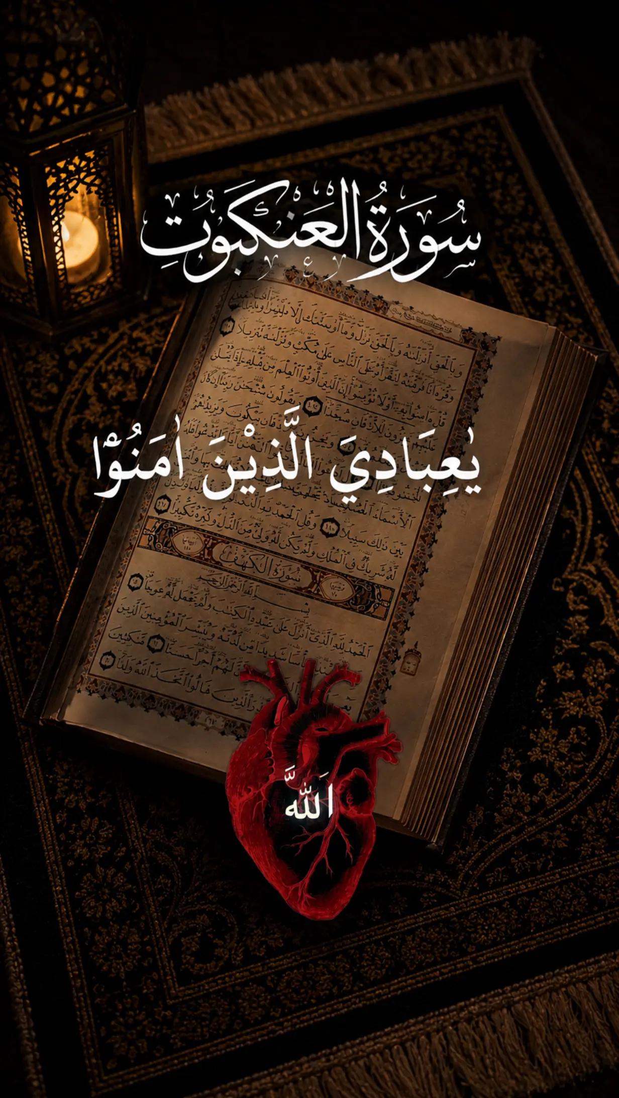 @Alfa Alif 001