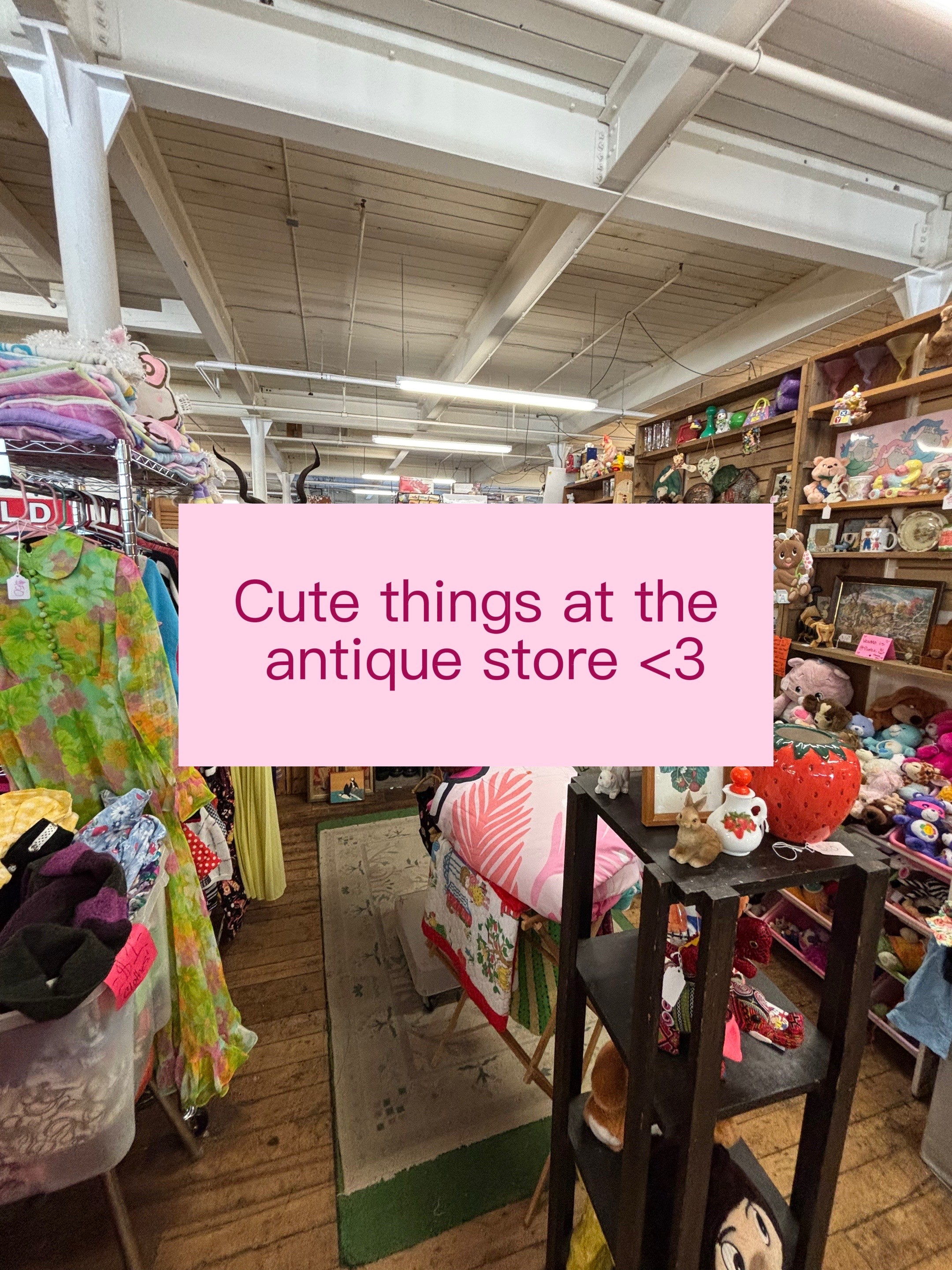 @Liesel Josephine