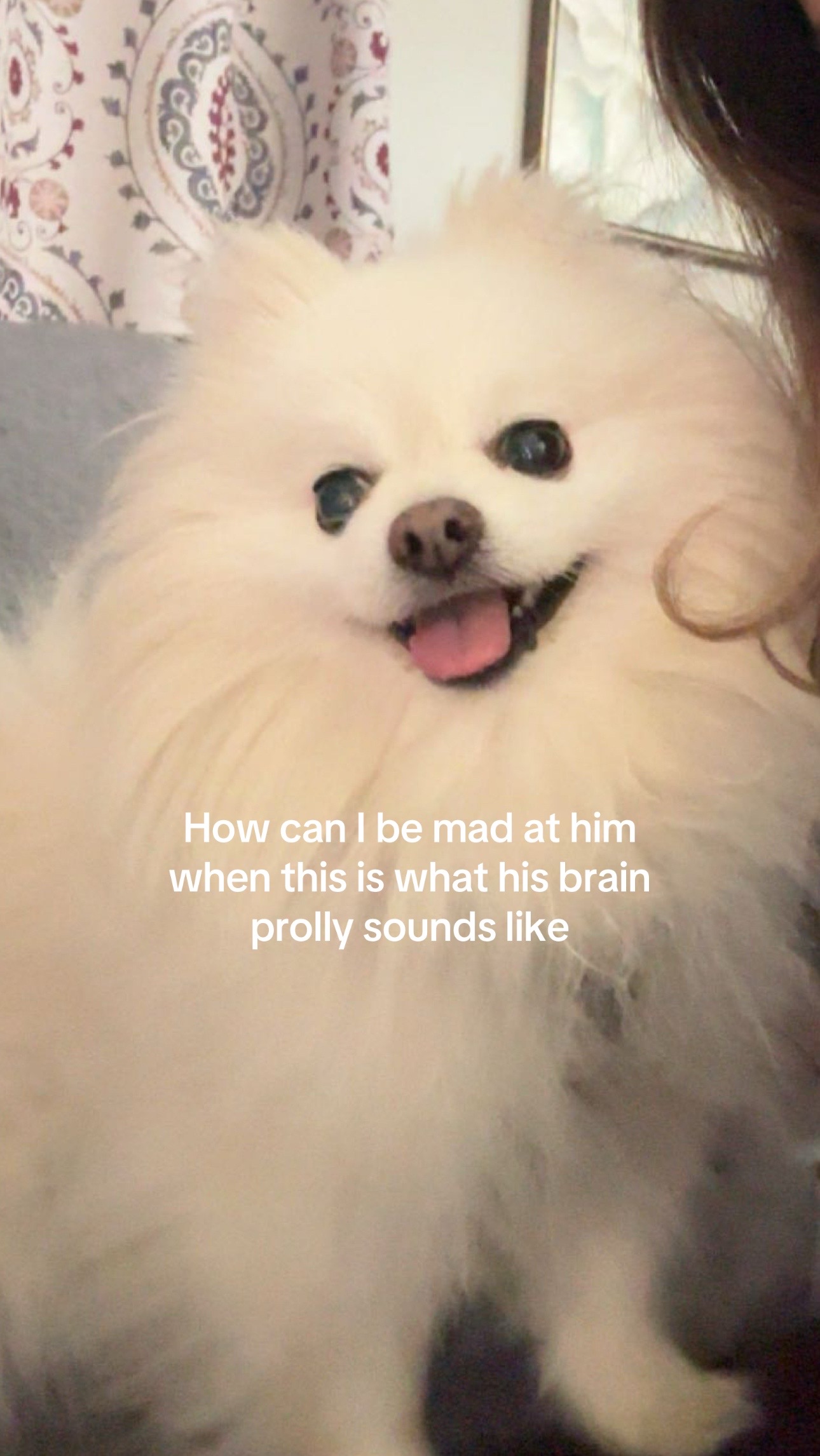 @𝒻𝓇𝒶𝓃𝒸𝑒𝓈𝒸𝒶