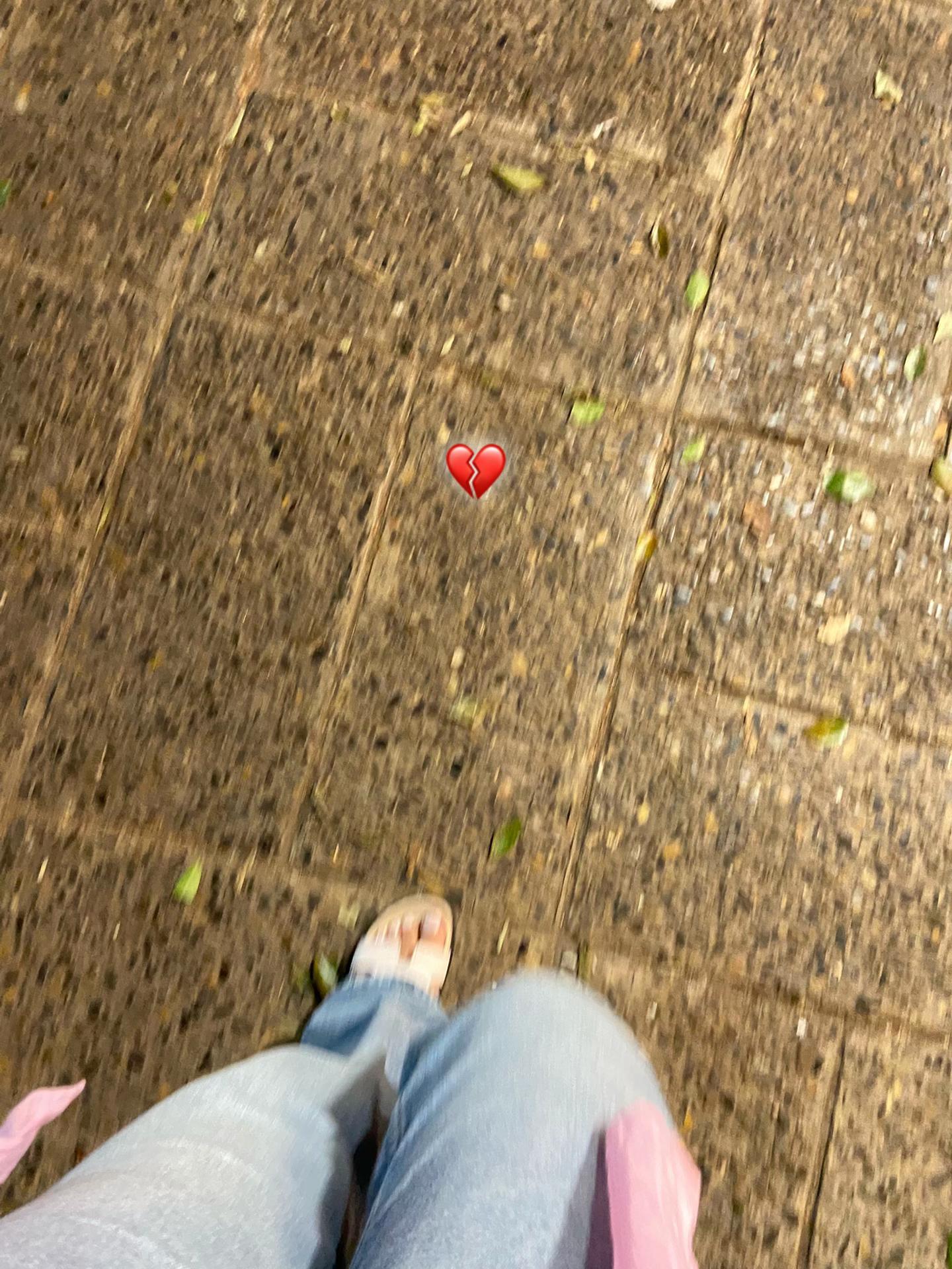 @🕊️