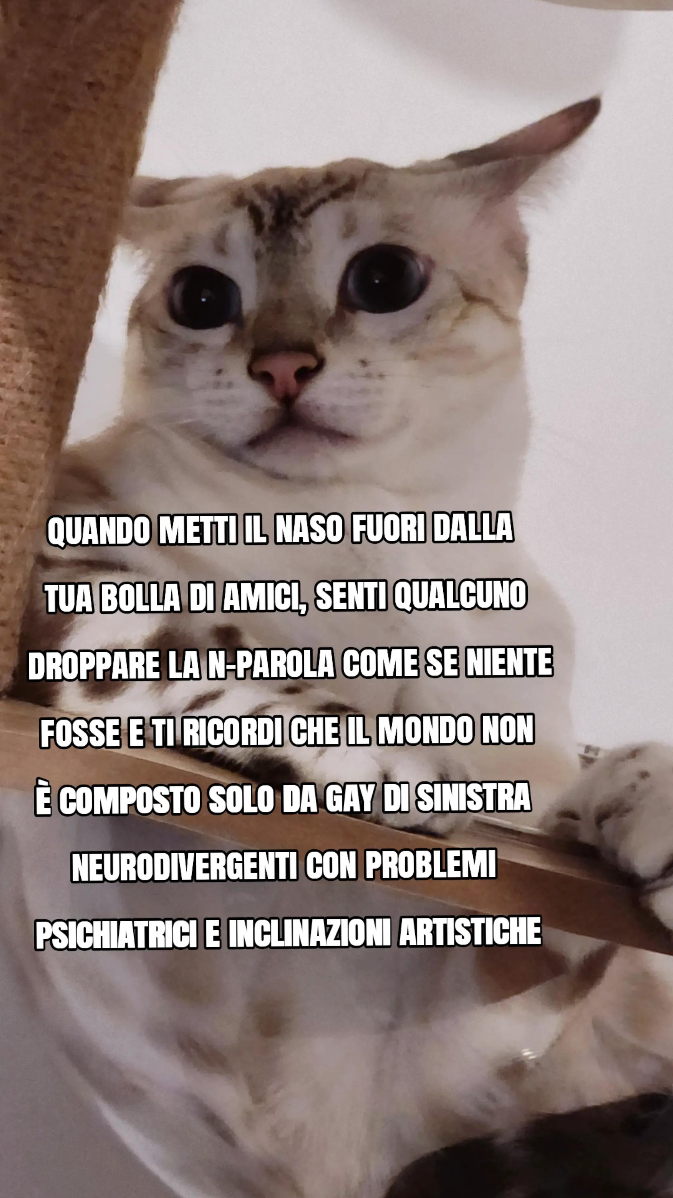 @L'eremita