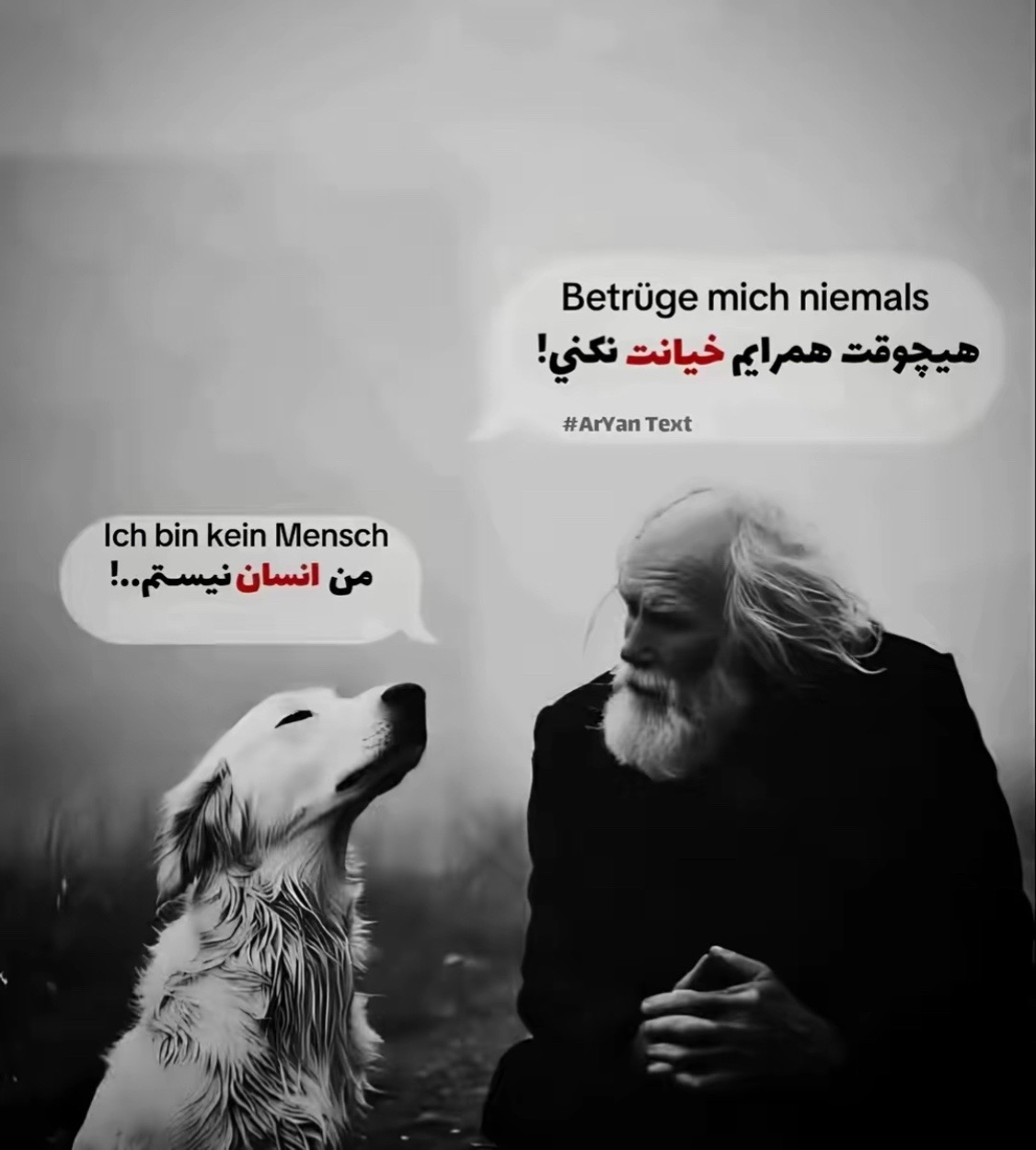 @Mansor