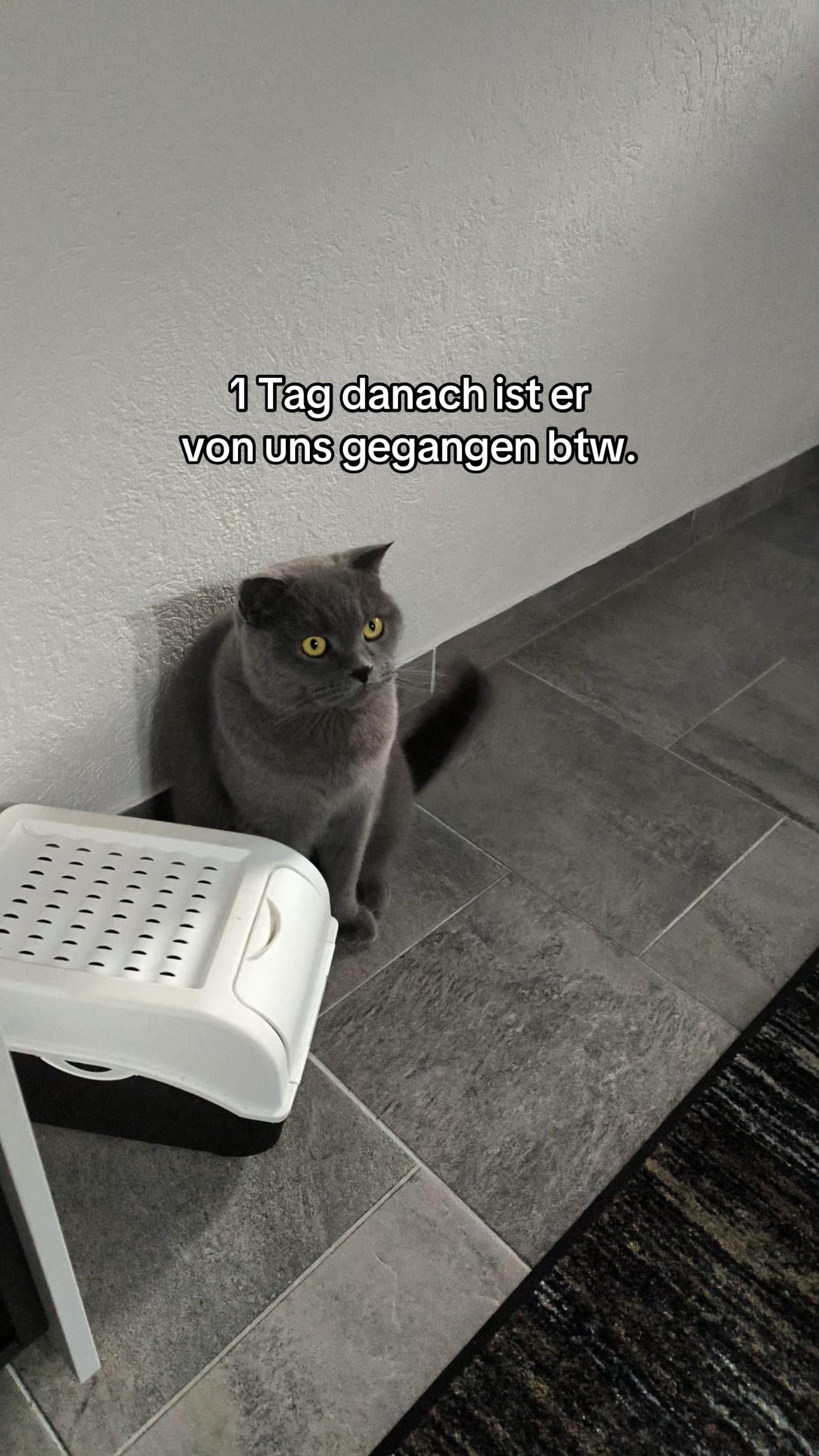 @๐ ๐ ๐ ๐