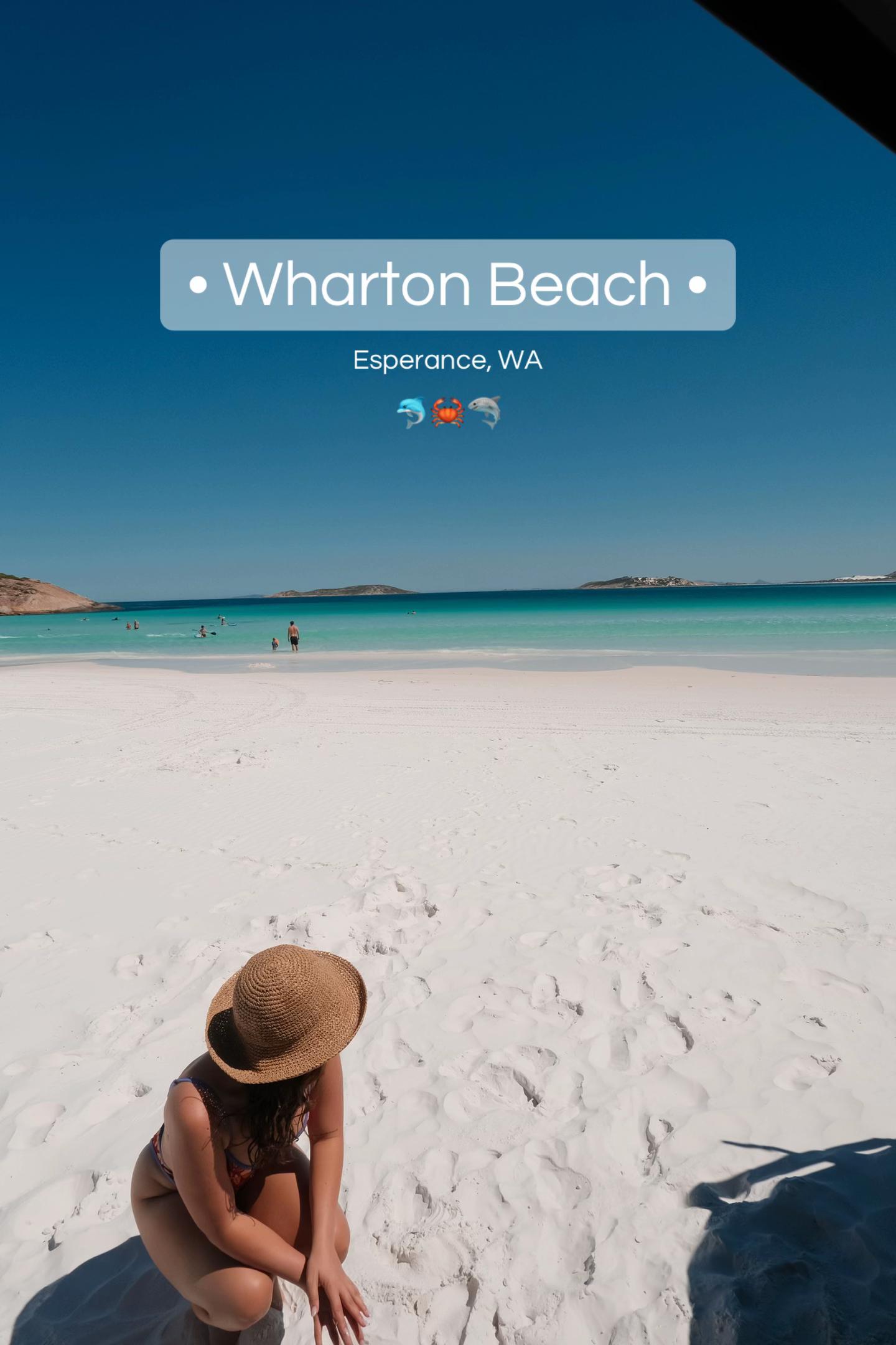@travelwithmickandeden