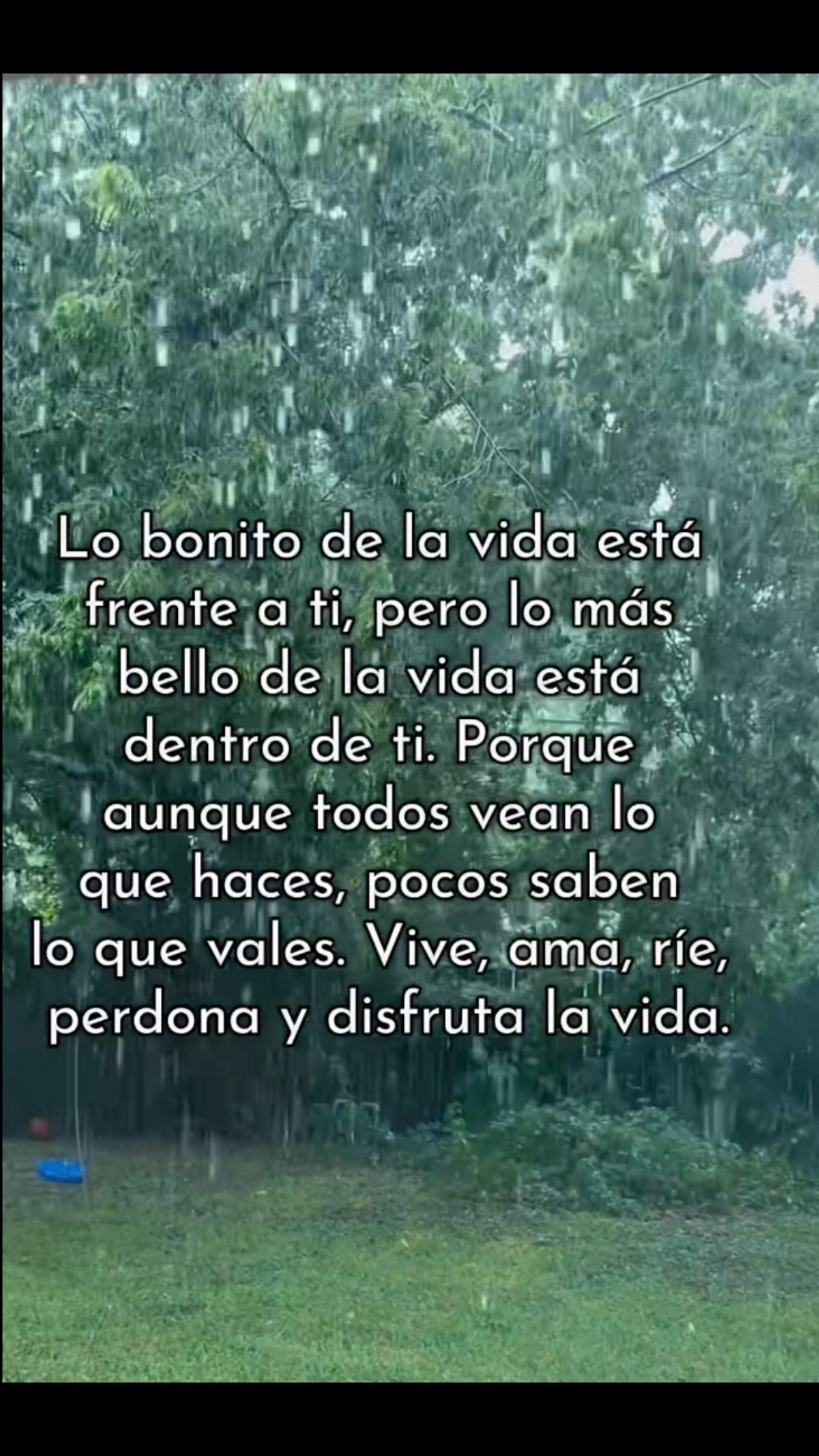 @Pedro Cruz