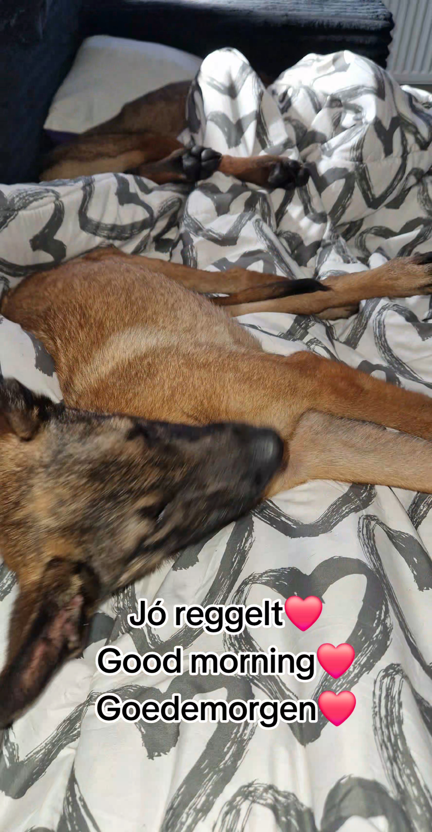 @🌹🤜❤️&zwj;🔥J.J❤️&zwj;🔥🤛🌹