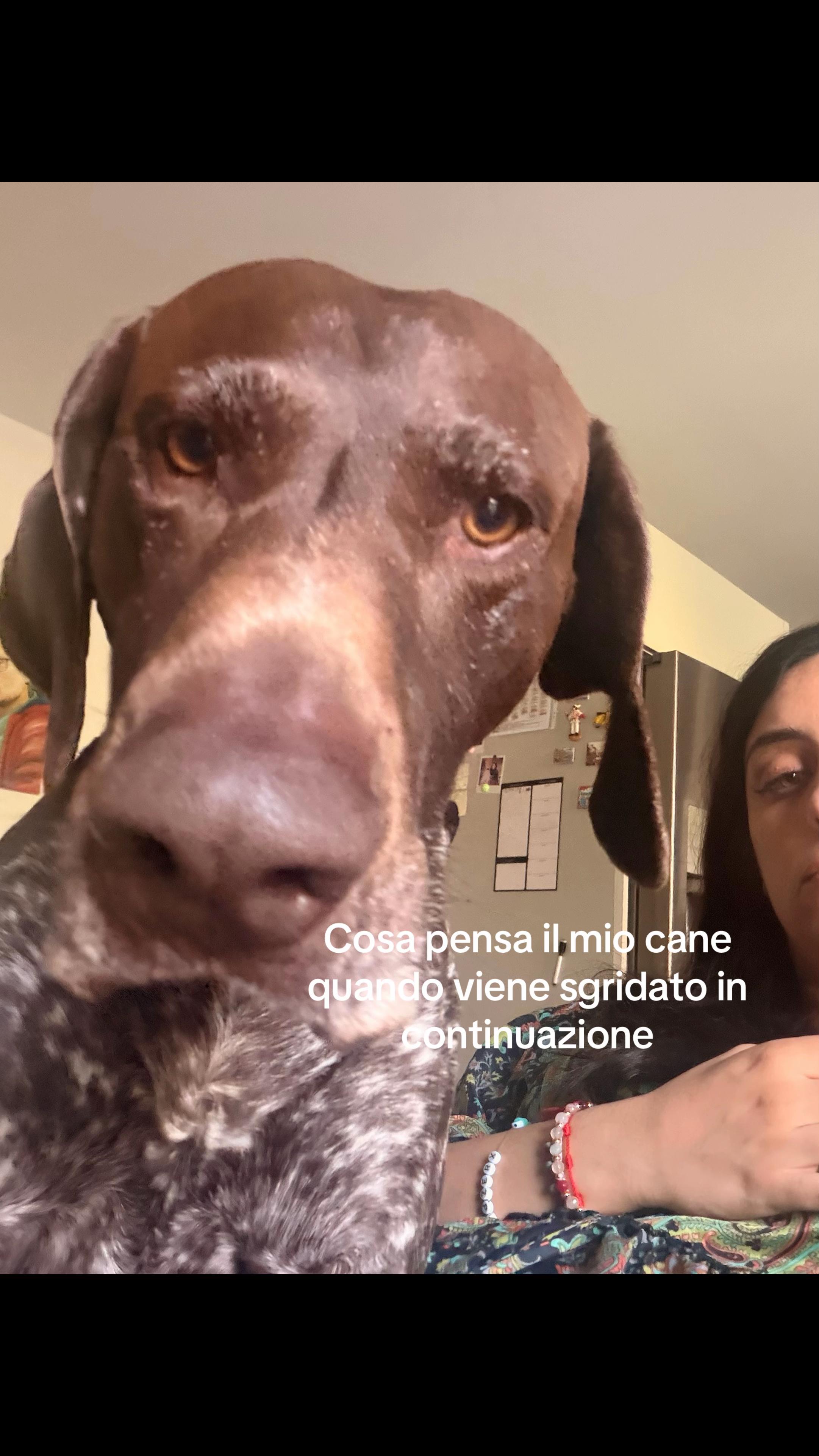 @Laura
