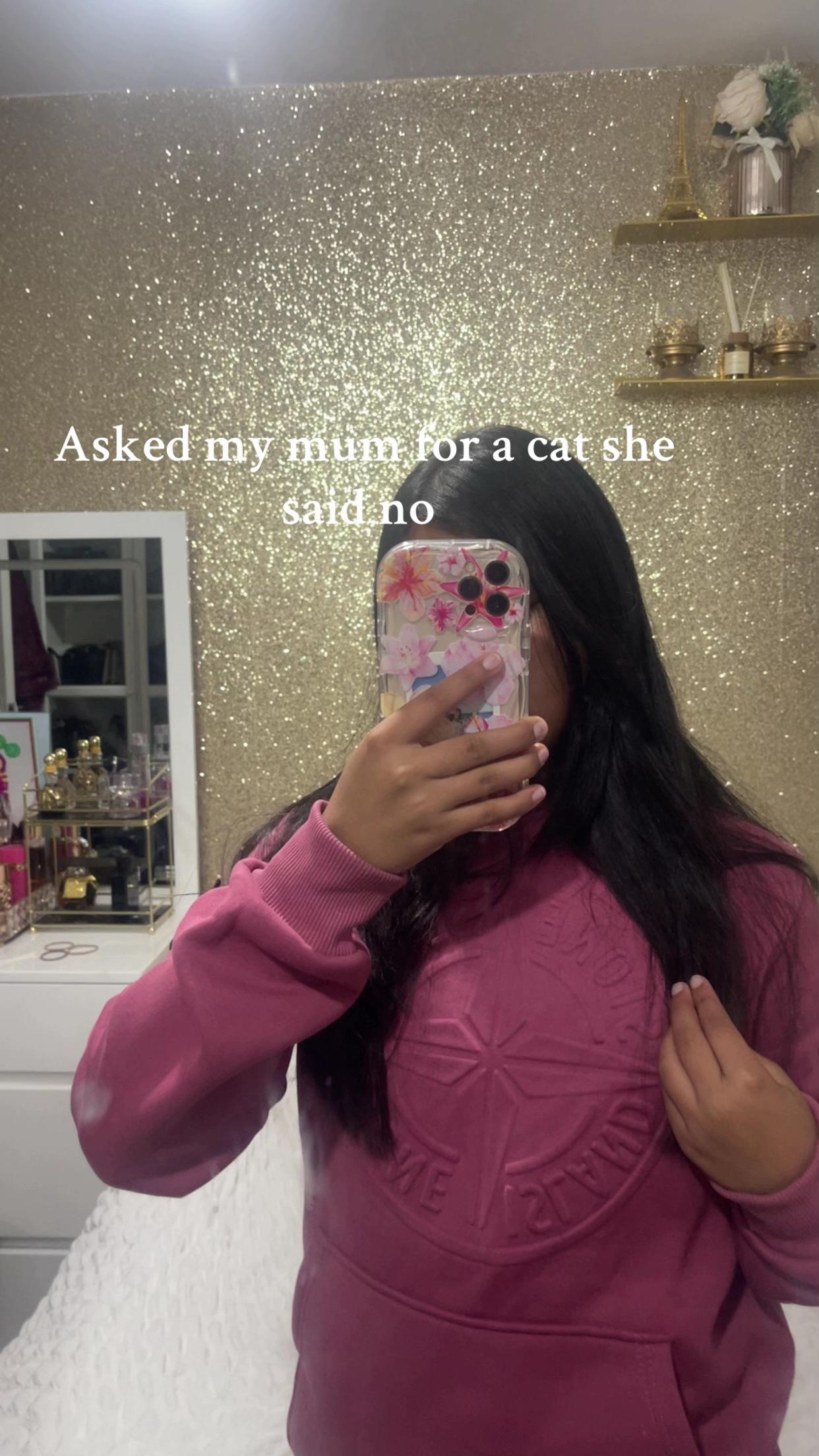 @✨