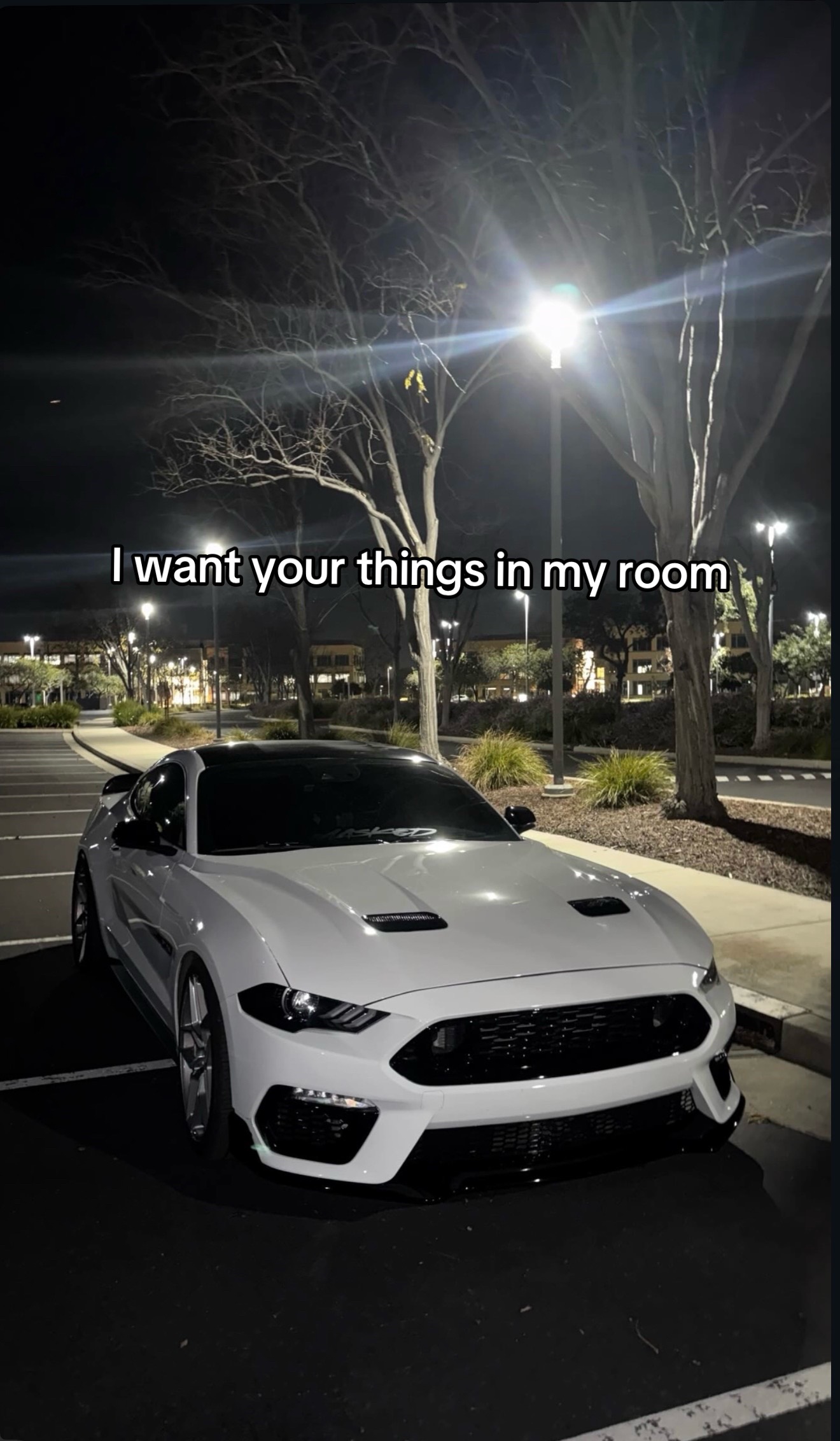 @Jalen.cs