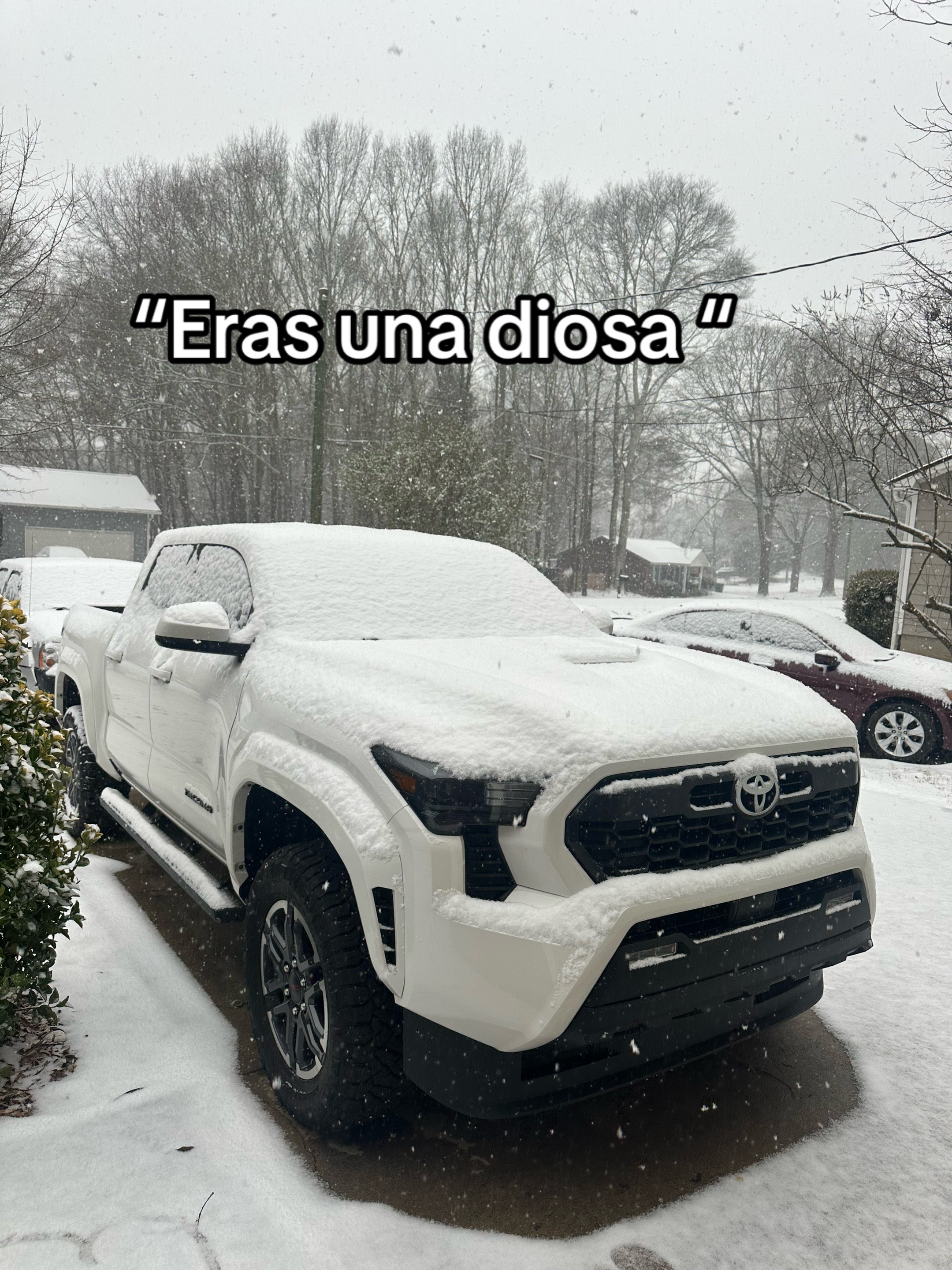 @MA⚡️