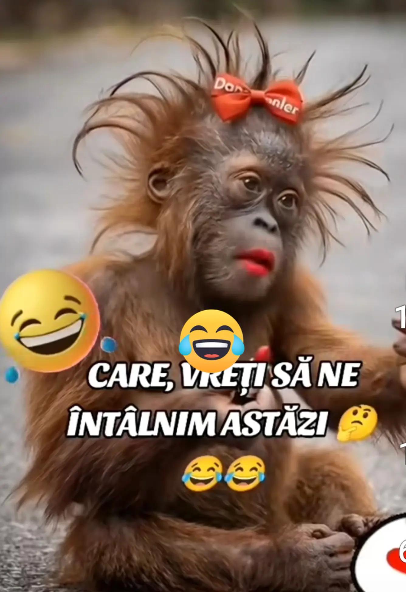 @Cristina Cris❤️