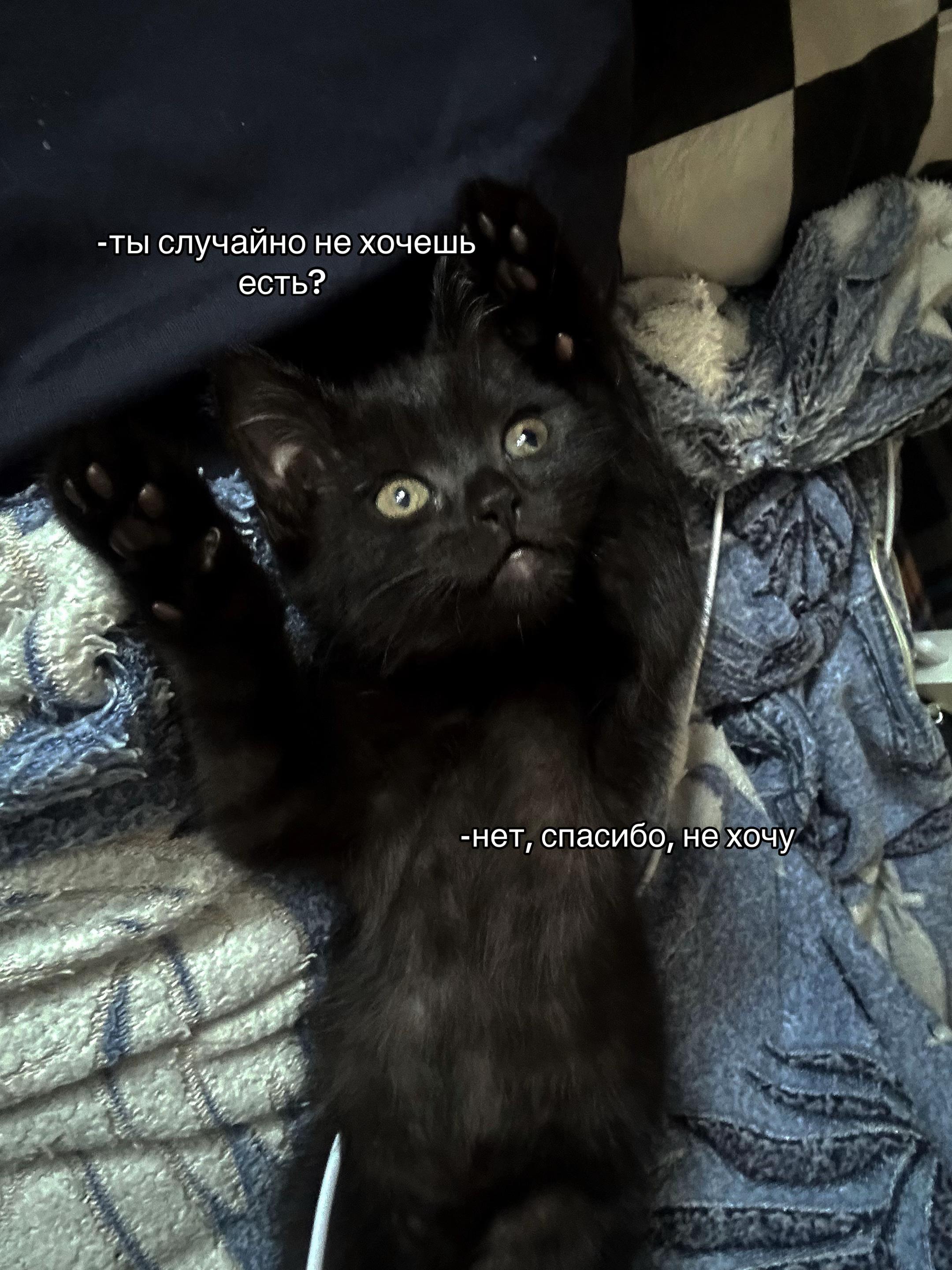 @𝖐𝖆𝖘𝖕𝖊𝖗🫧