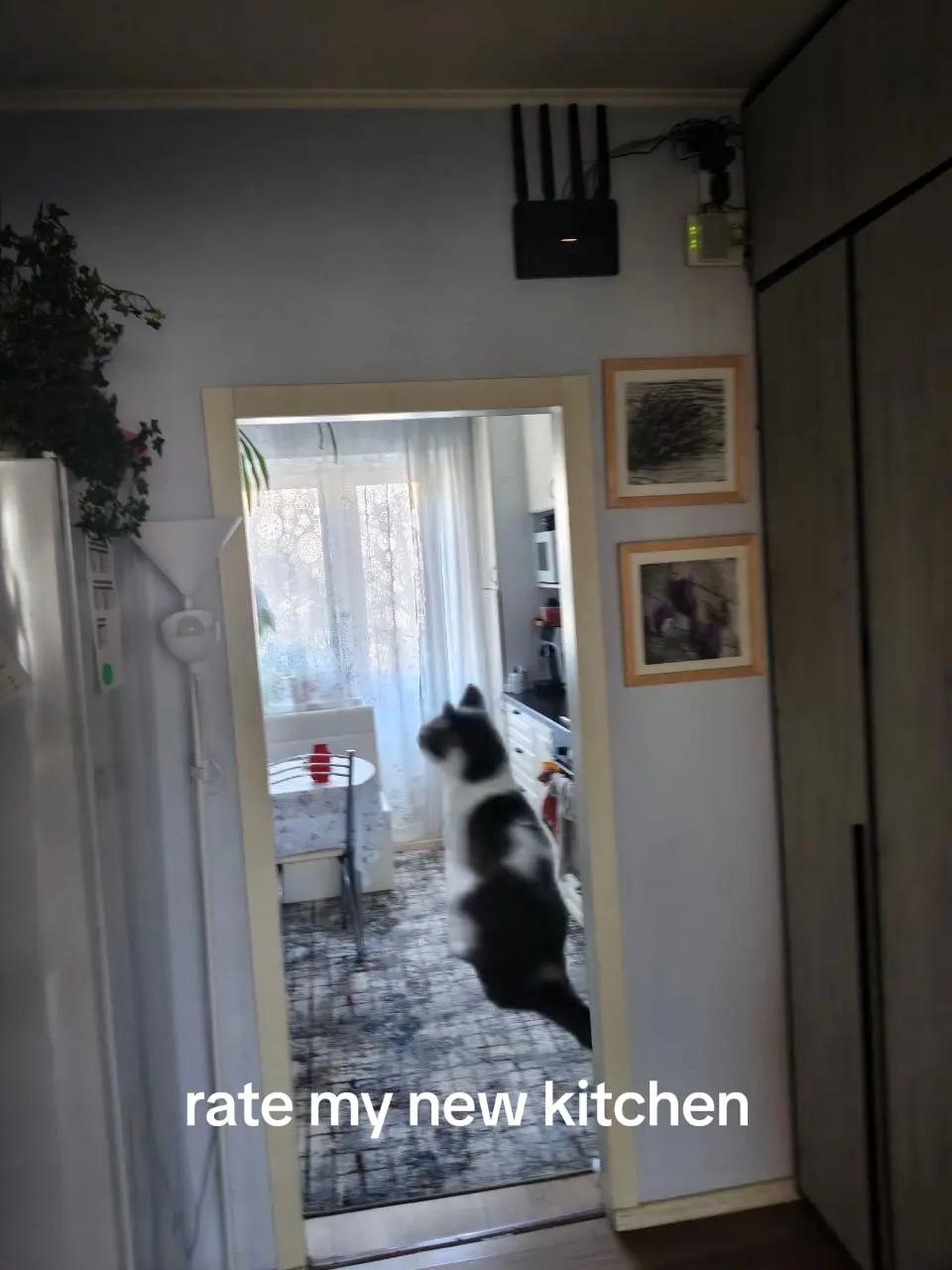 @dodoшаооо
