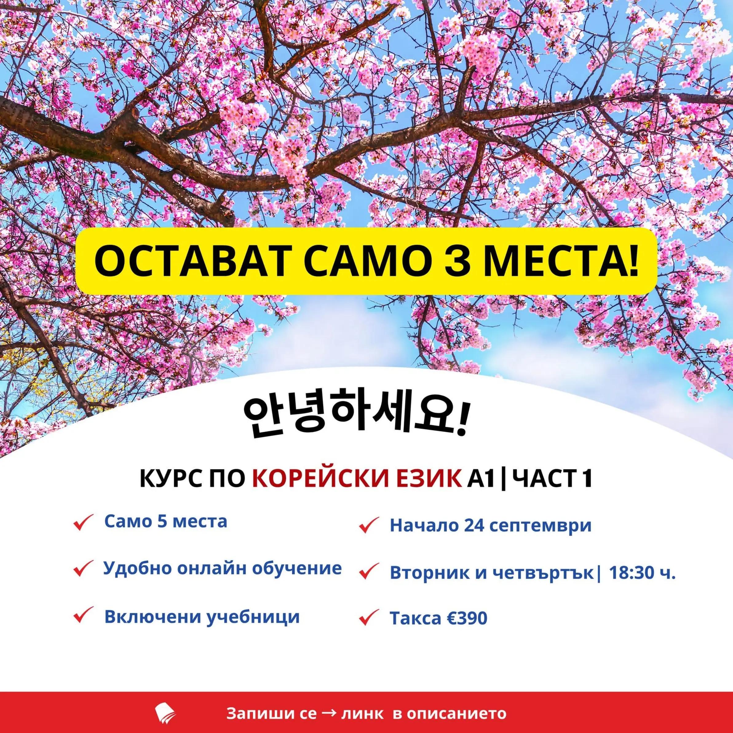 @🇯🇵 Сю Сенсей