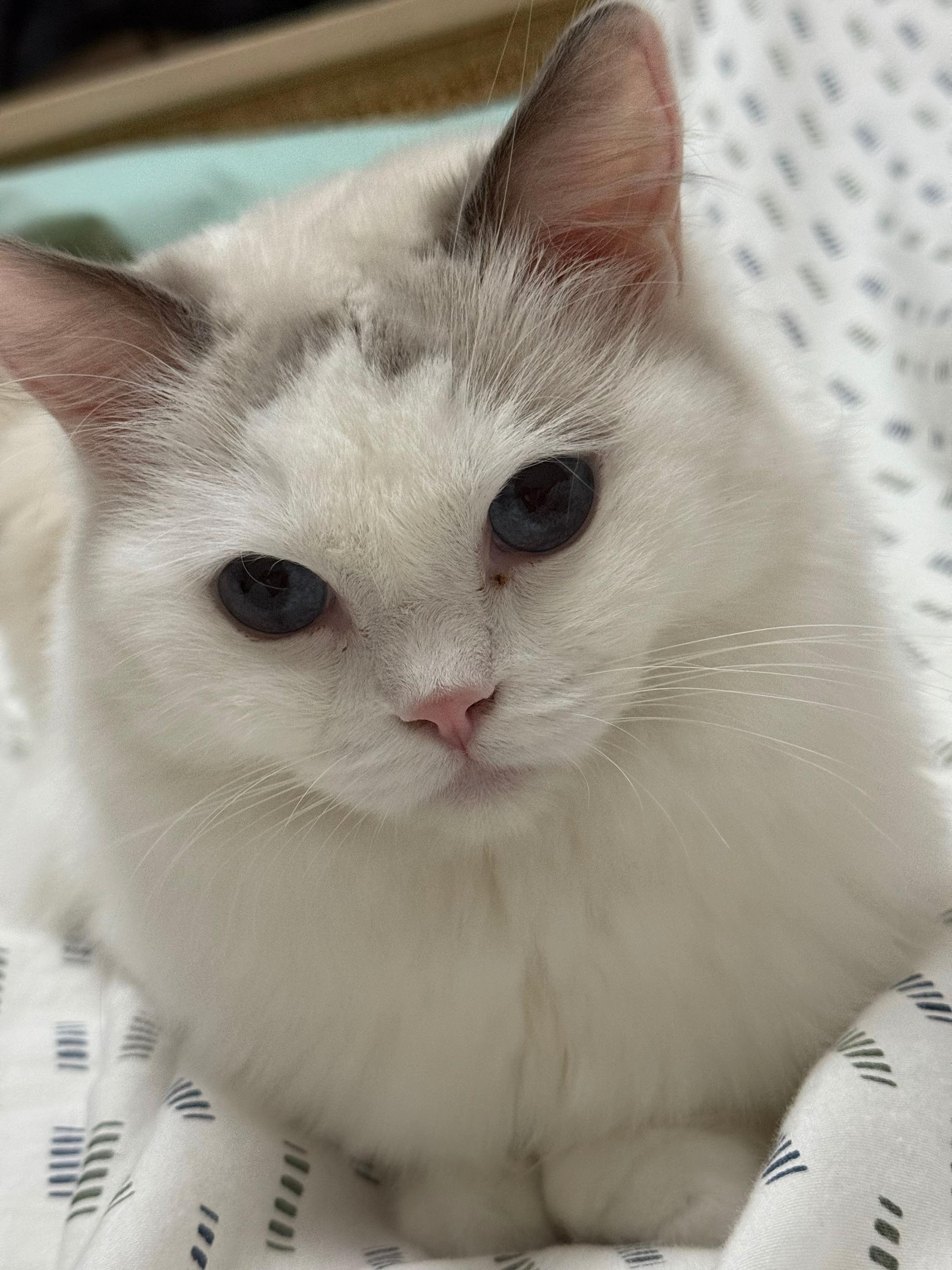 @Princess Yuna 😽
