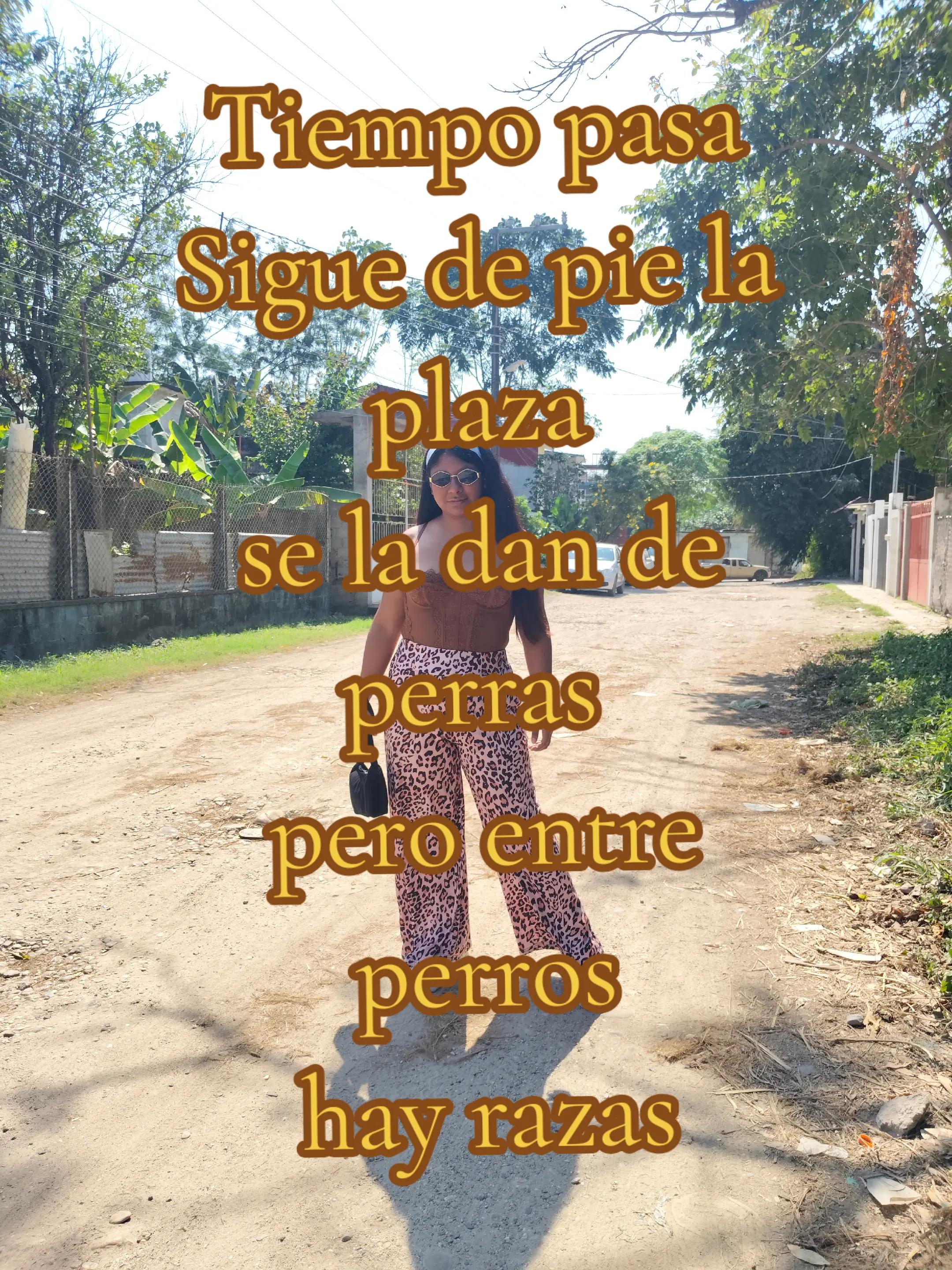 @Chocolatee