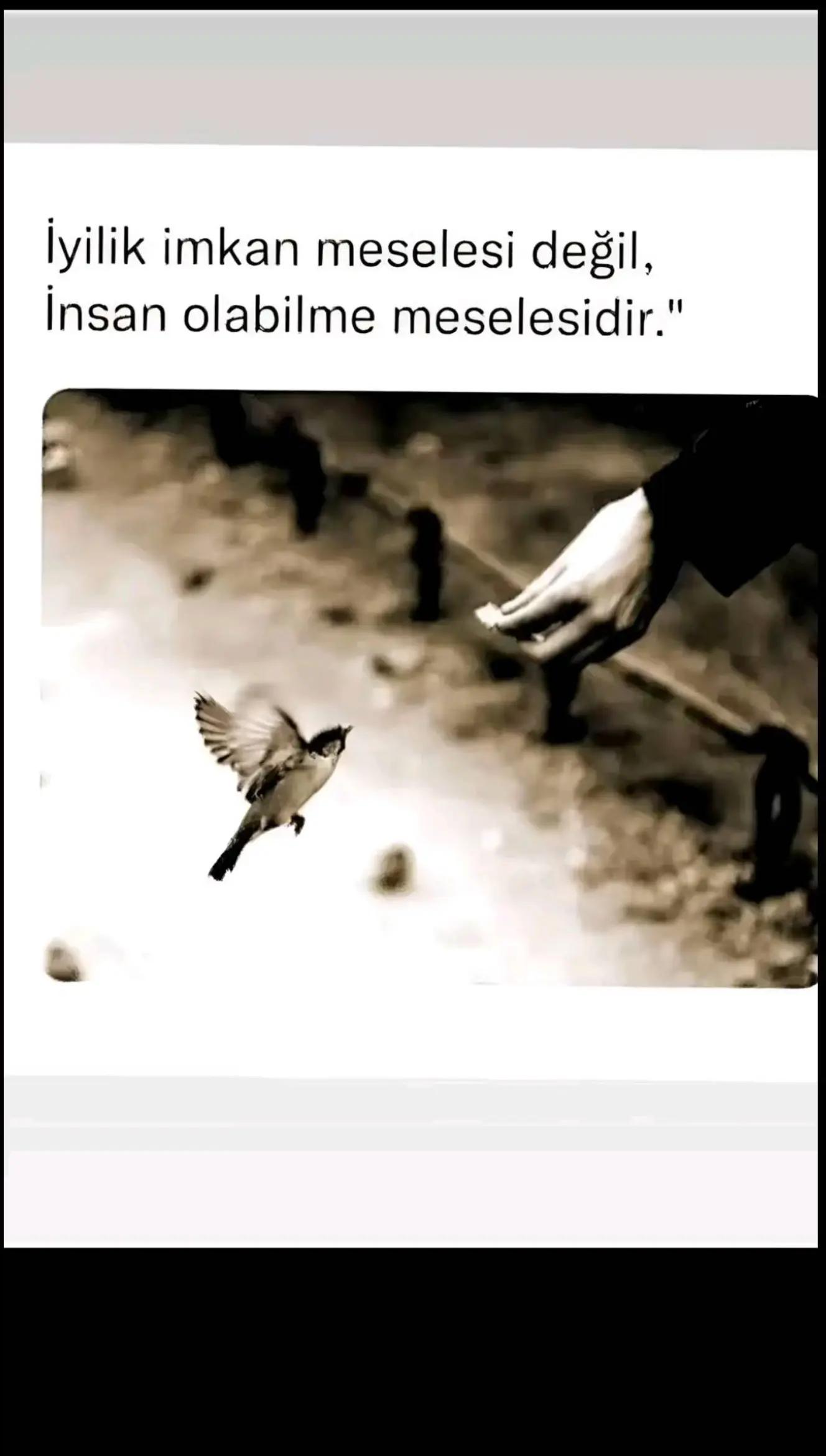 @Mujdat Kan