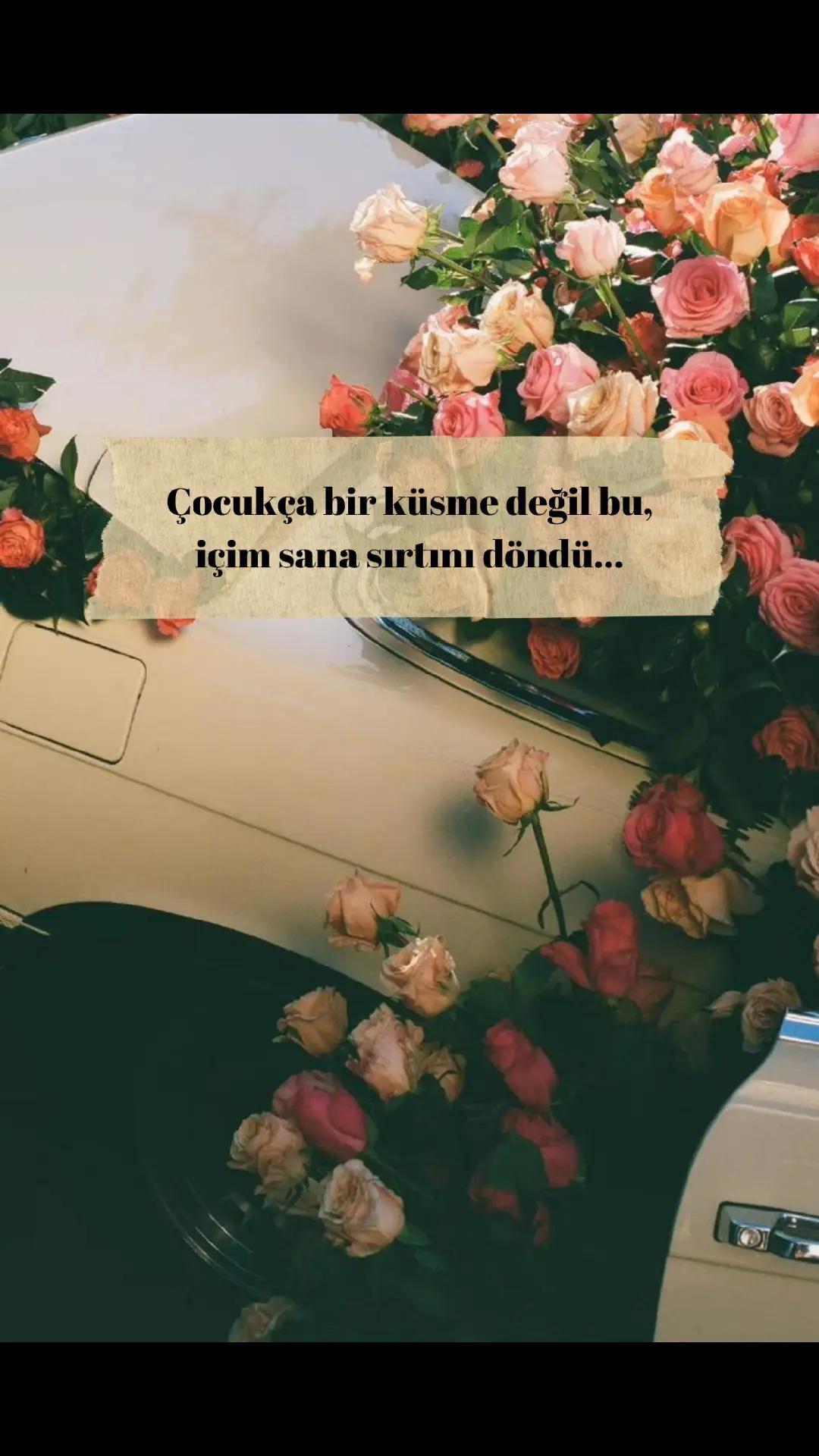@Tuğba D.