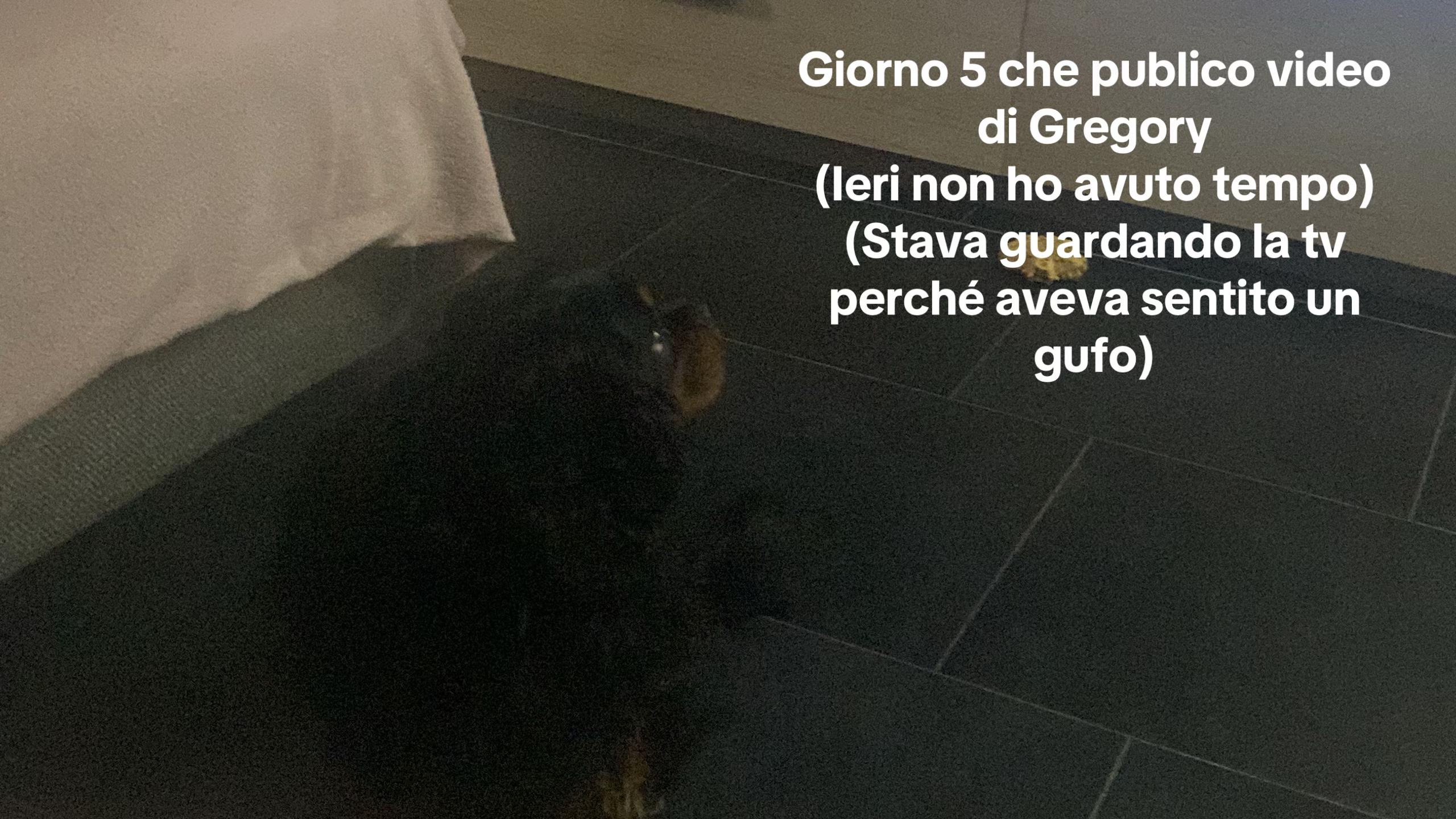 @✨ginevra✨