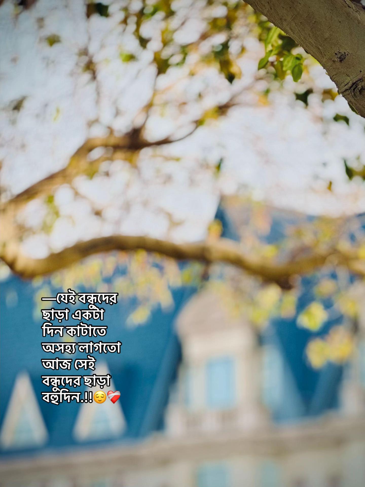 @⏳𝐒𝐡𝐚𝐝𝐨𝐰𝐗𝐞𝐧_ 🚩
