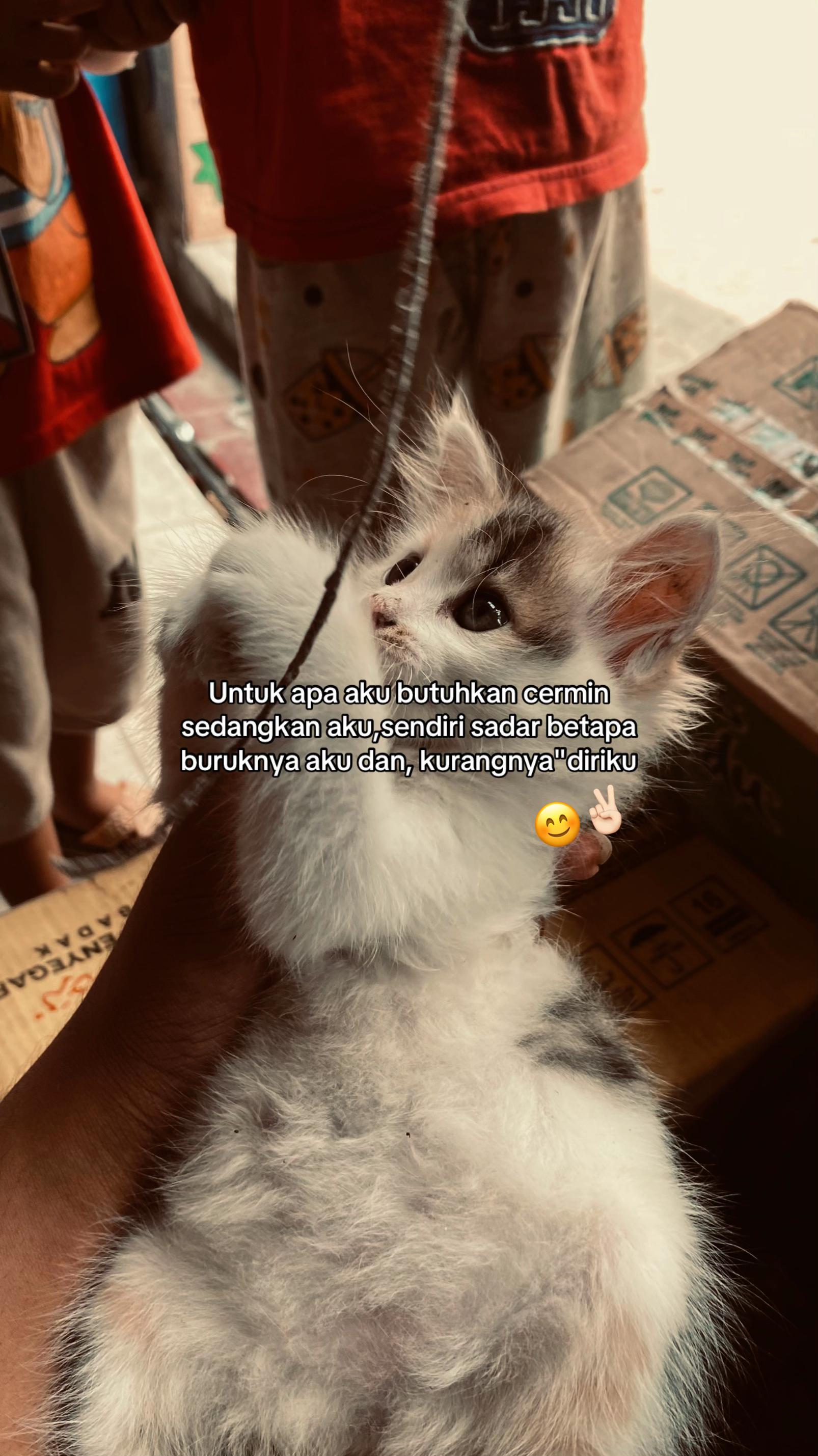 @๐ท๐พ