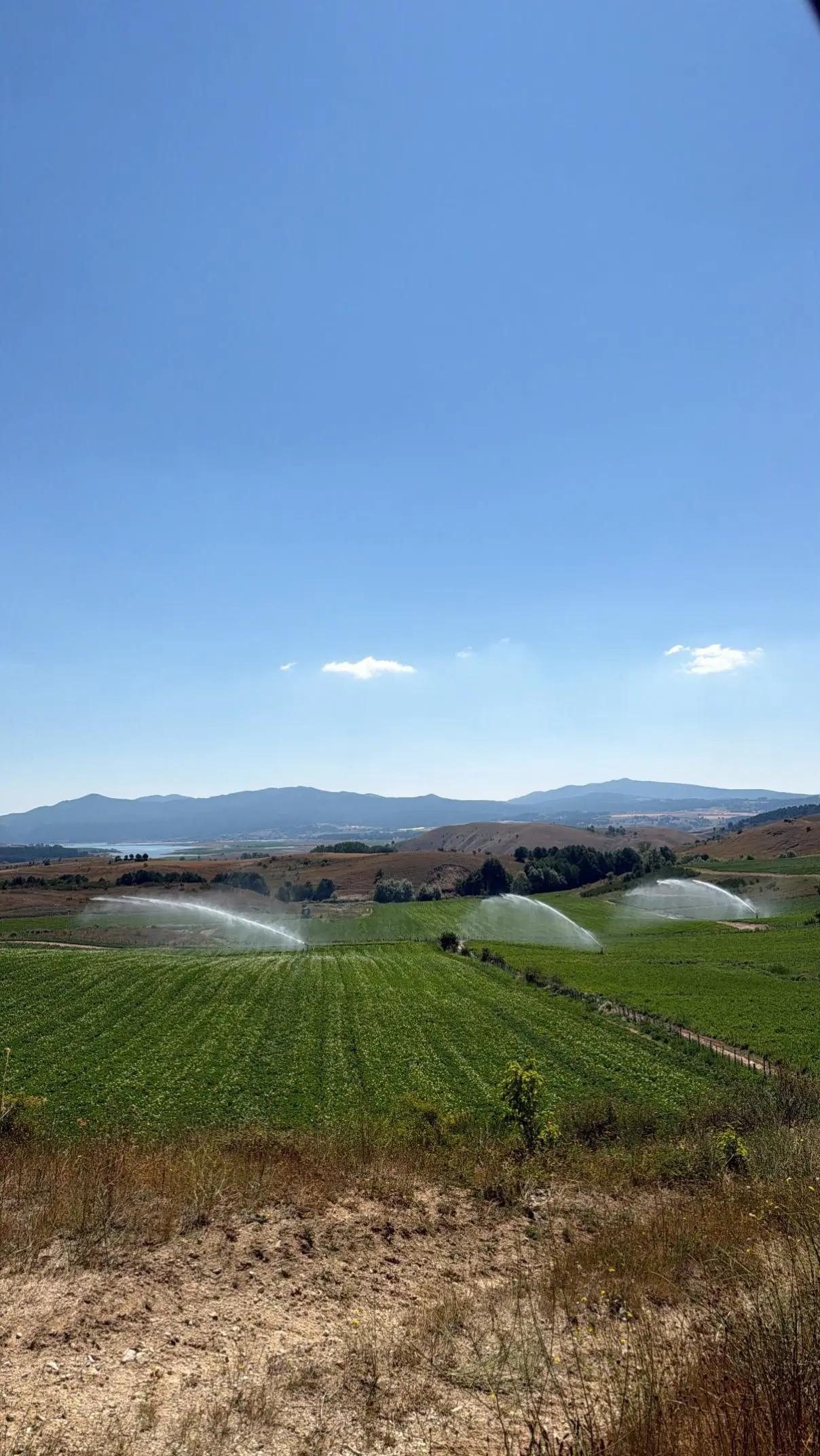 @IL Brigante della sila