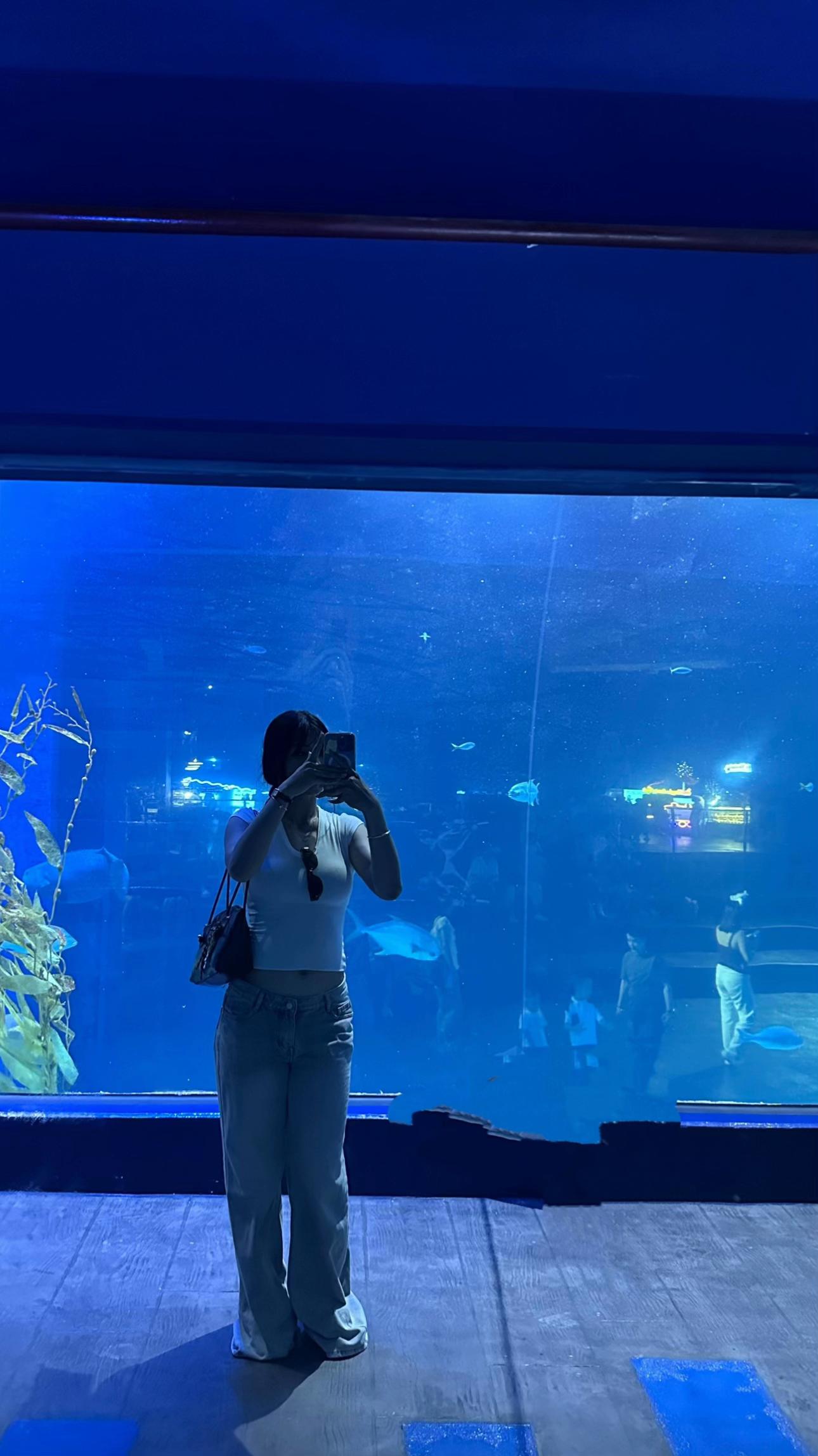 @H_zgan 🤡
