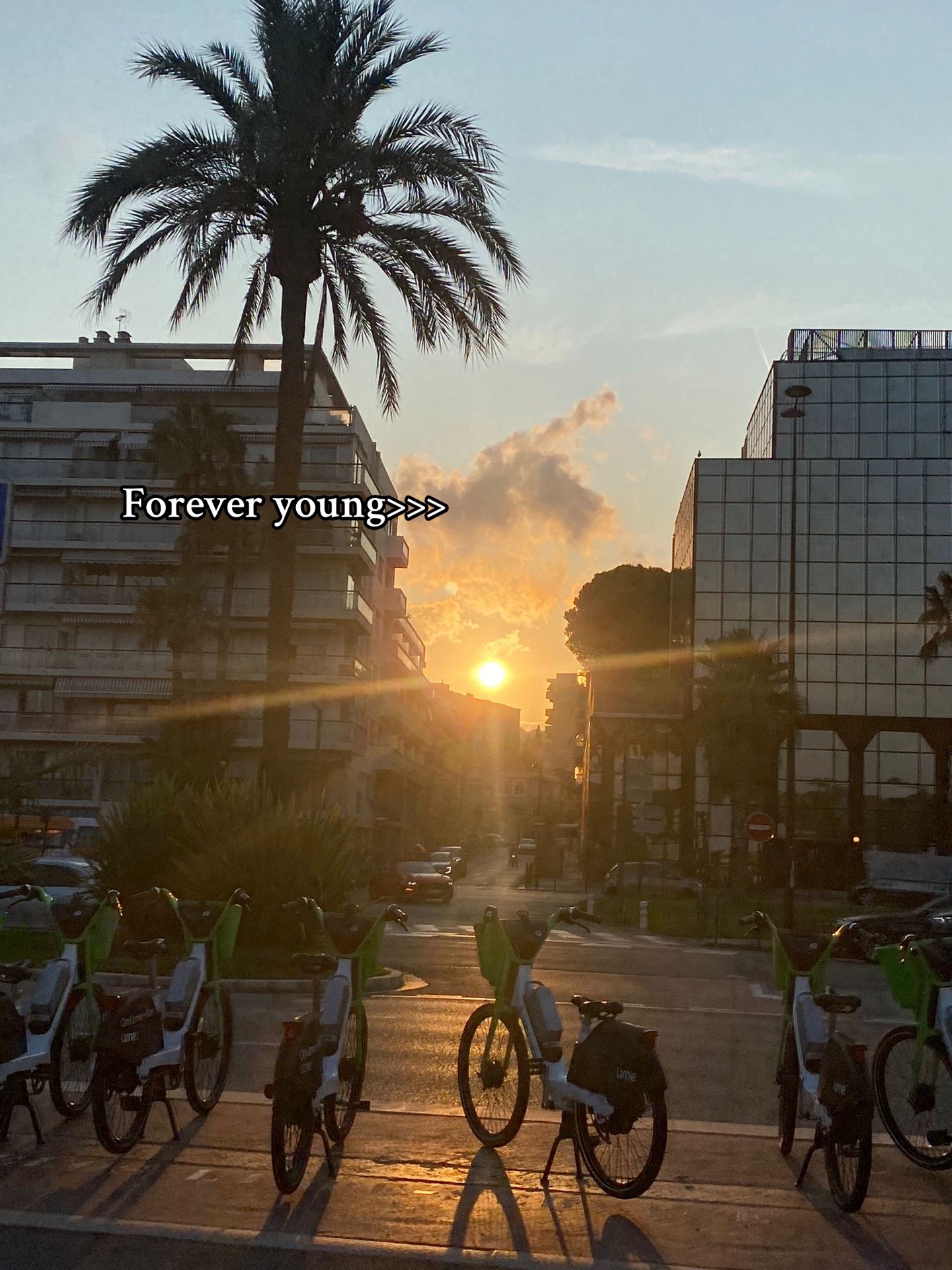 @𝐄𝐥𝐢𝐬𝐚✝️