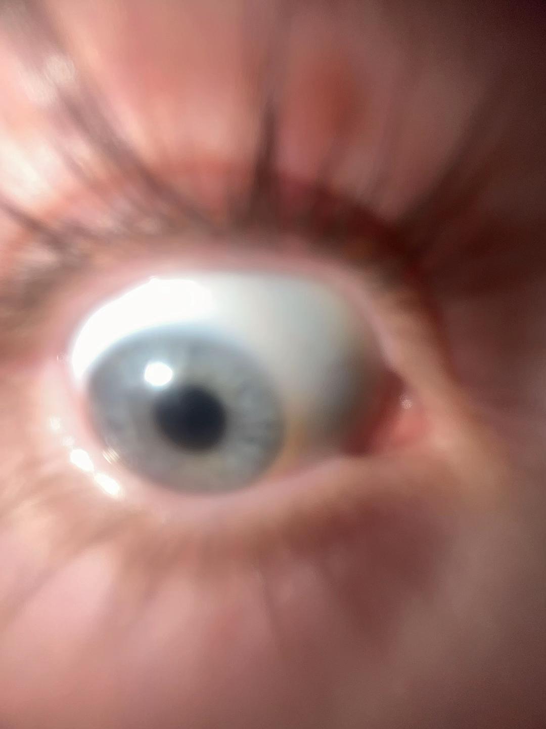 @Sarina🇩🇪🦅