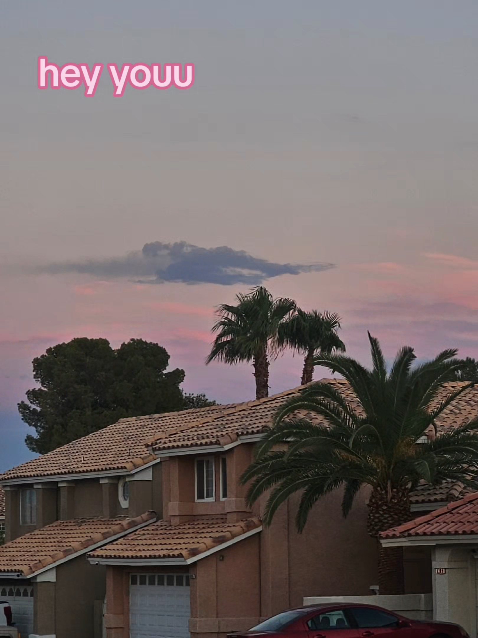 @🧁⸝꙳.˖ ᴜɴɪᴄᴏʀɴ?🪽