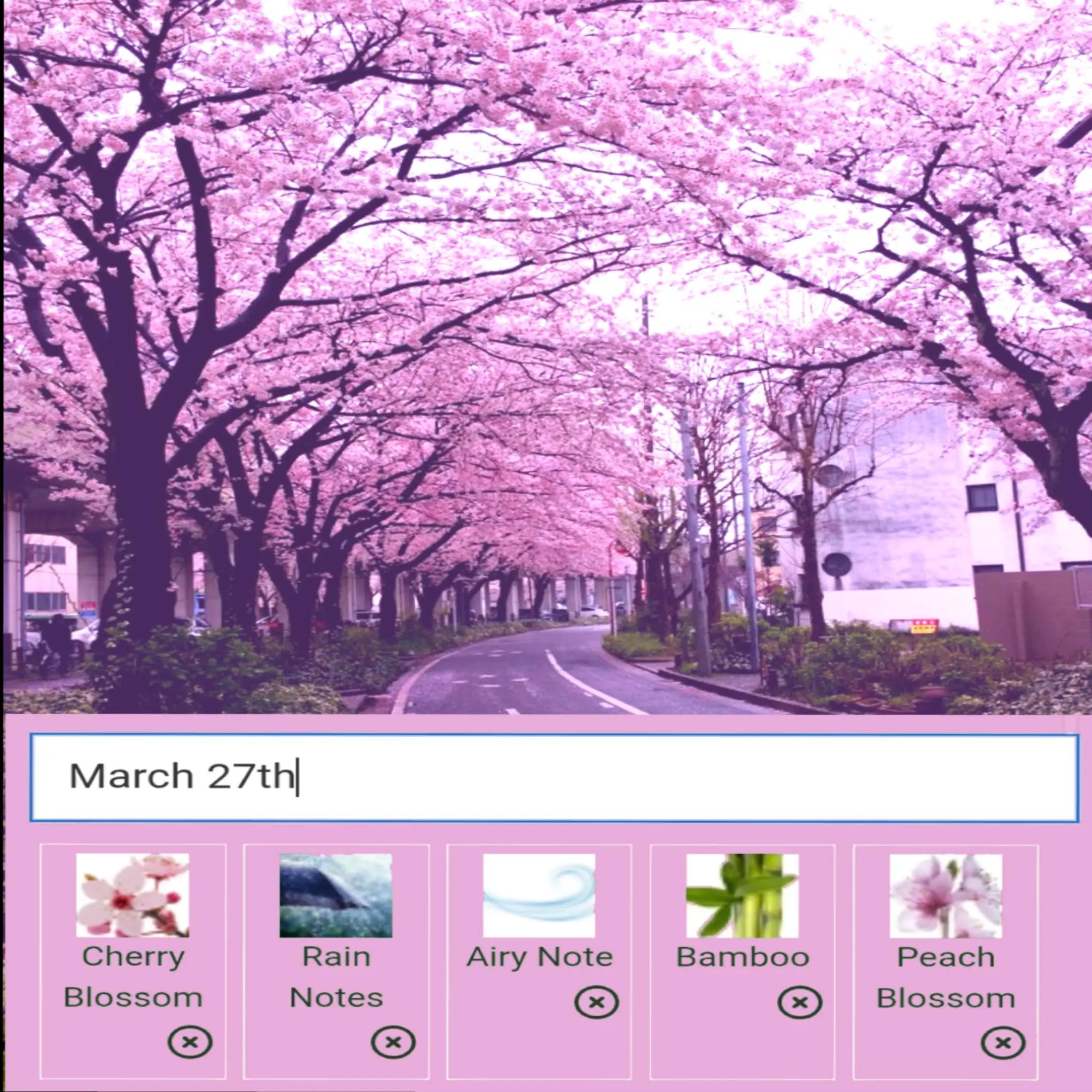 @𝐒𝐭𝐚𝐜𝐲✰⋆. 𐙚 ˚🦋