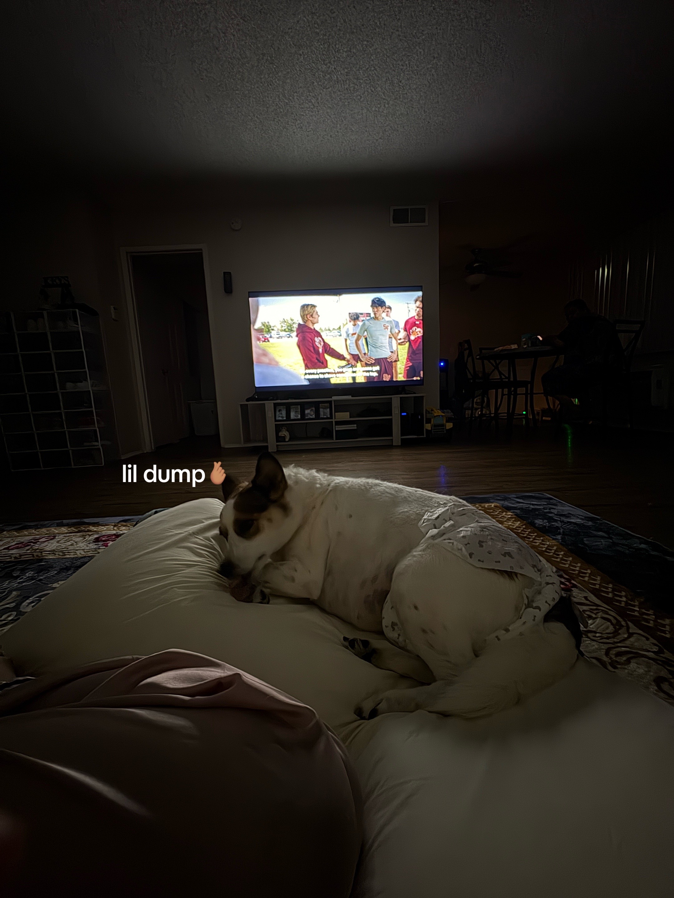 @lynncnom