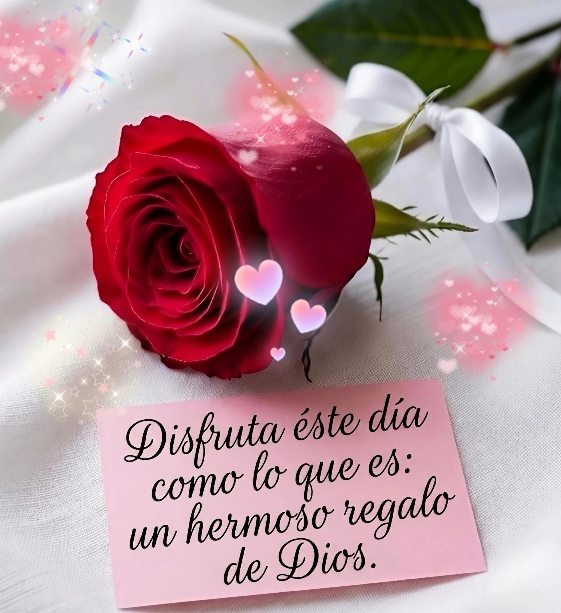 @Sabina Hernandez456 saby
