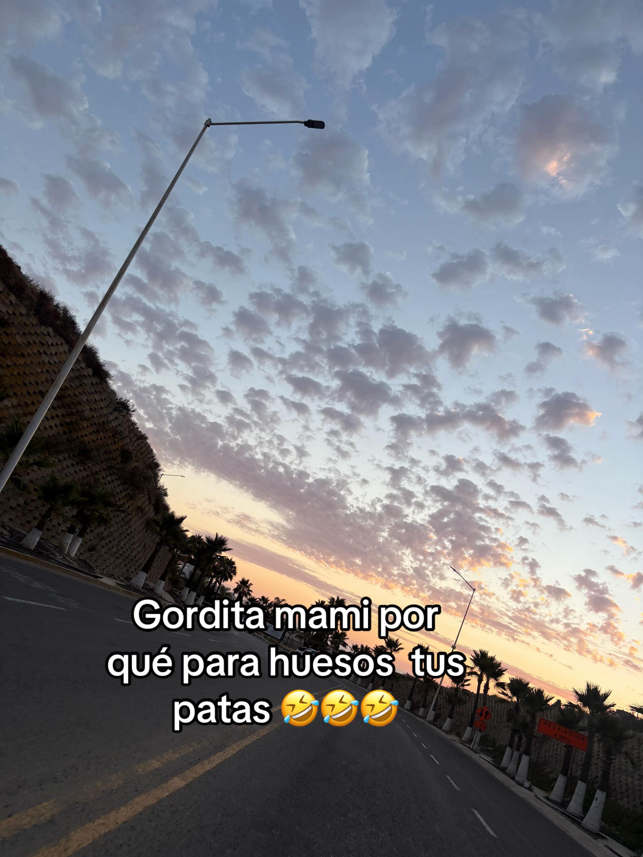 @priscy garibay