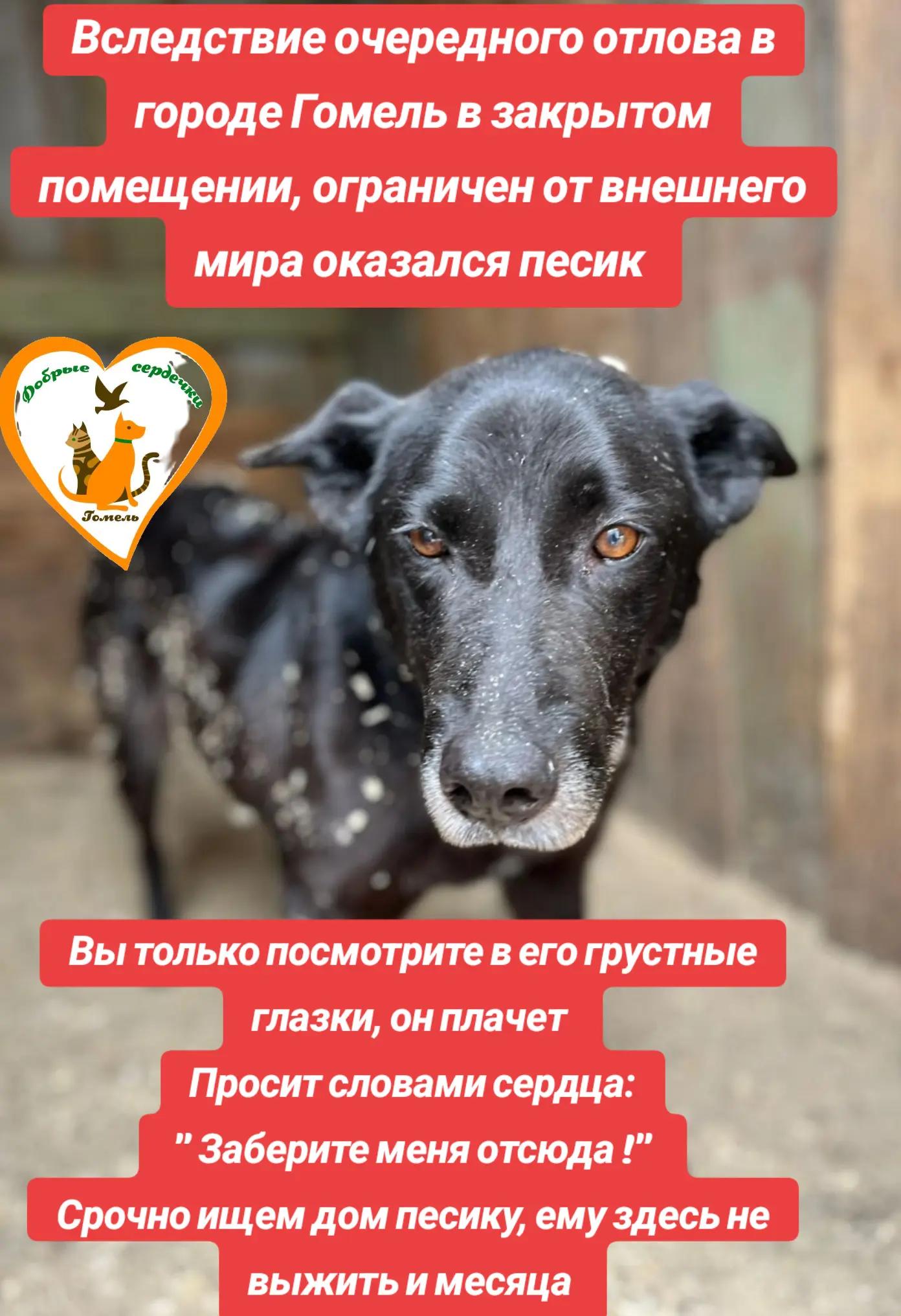 @Марина