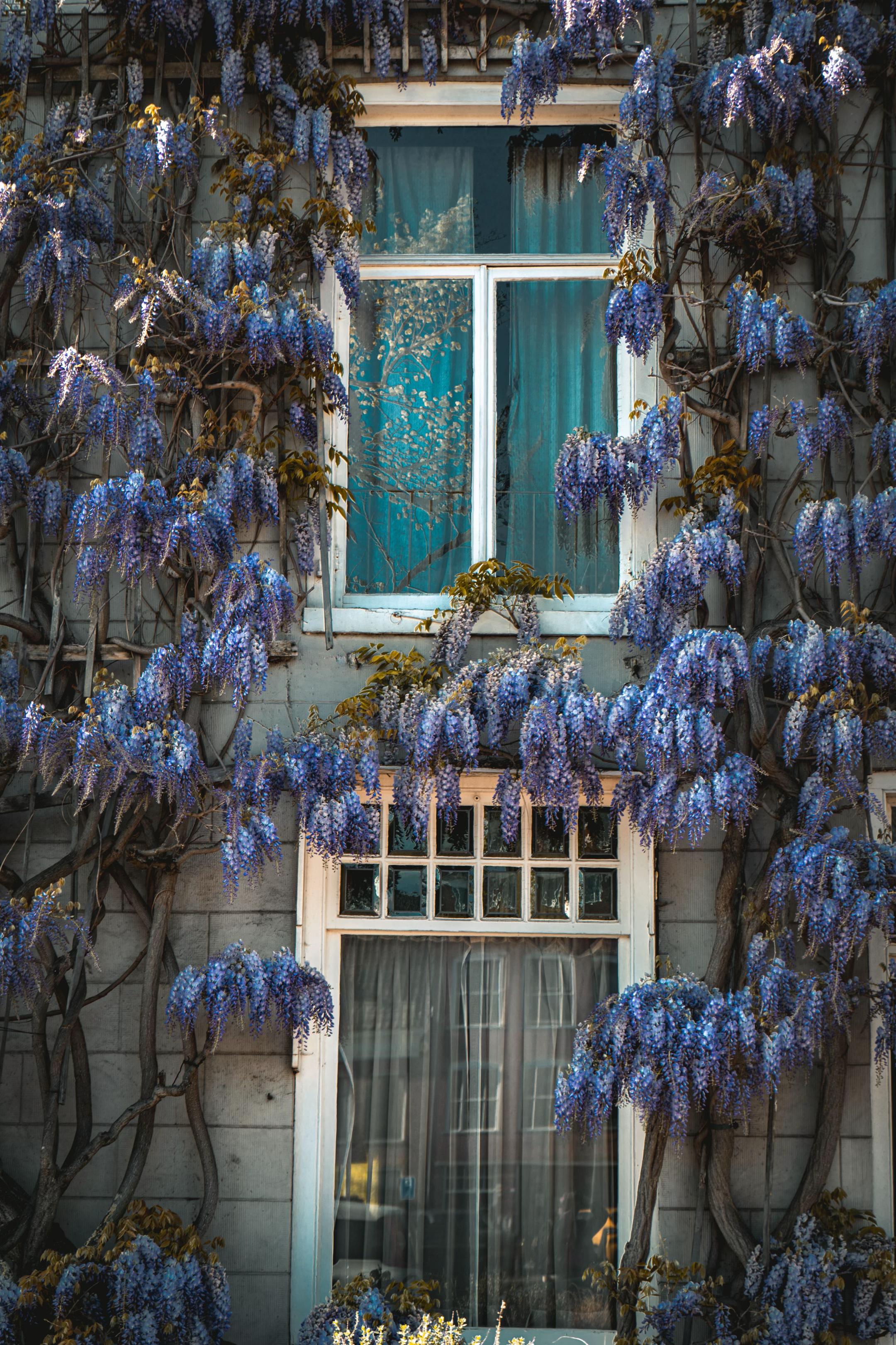 @Andreea Photography ๐ท๐ผ