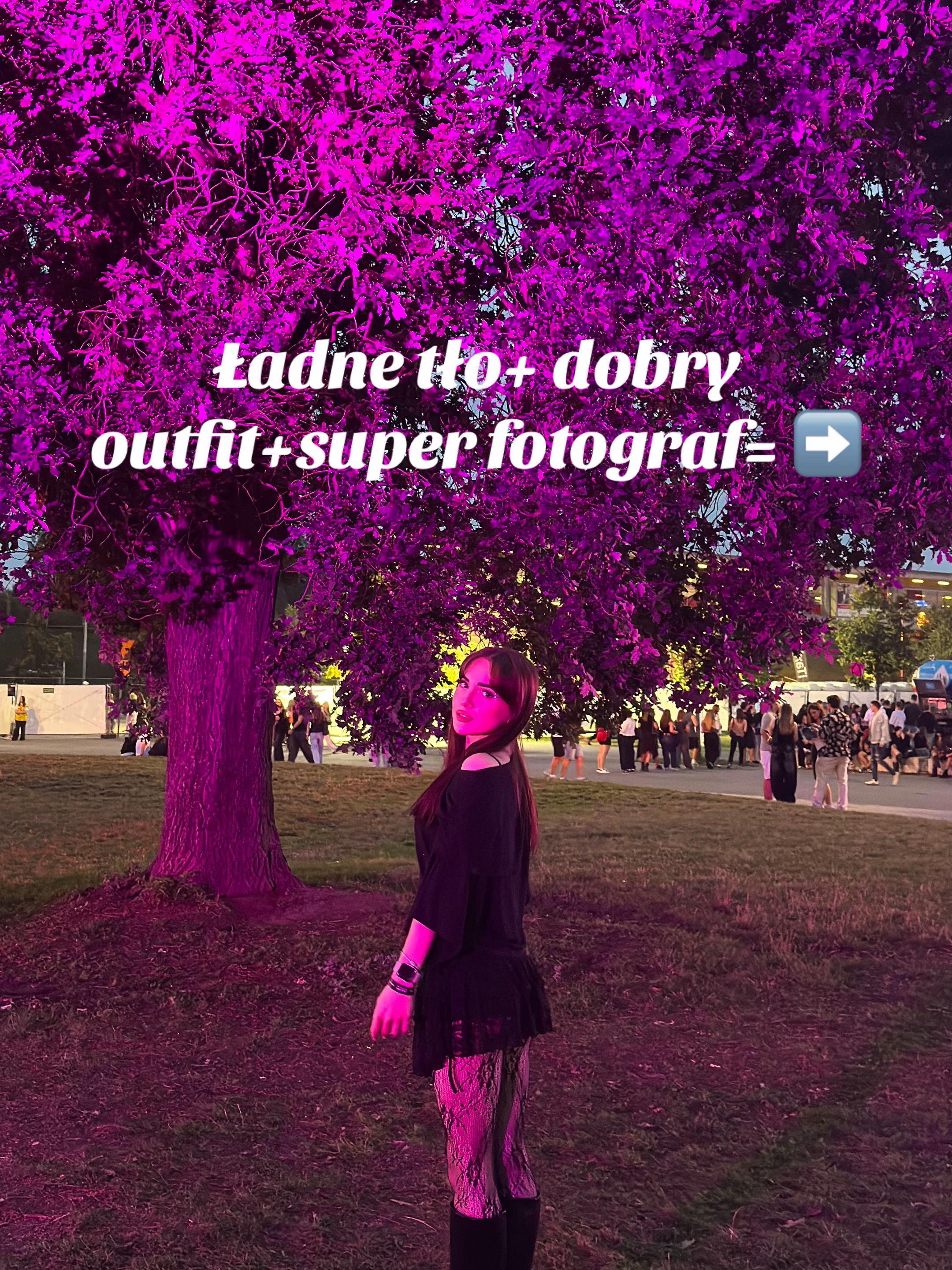 @amelia🪽🎀🤍