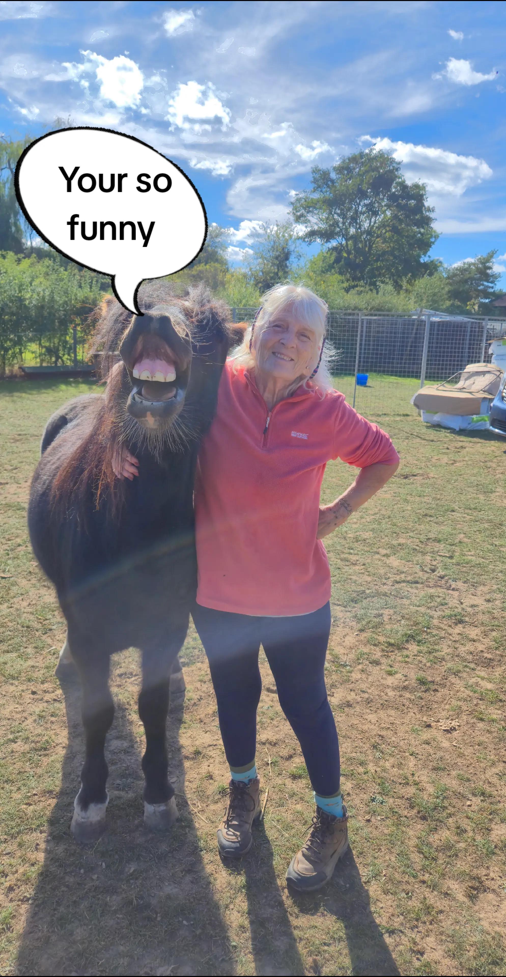 @Valgrays bc & animal rescue