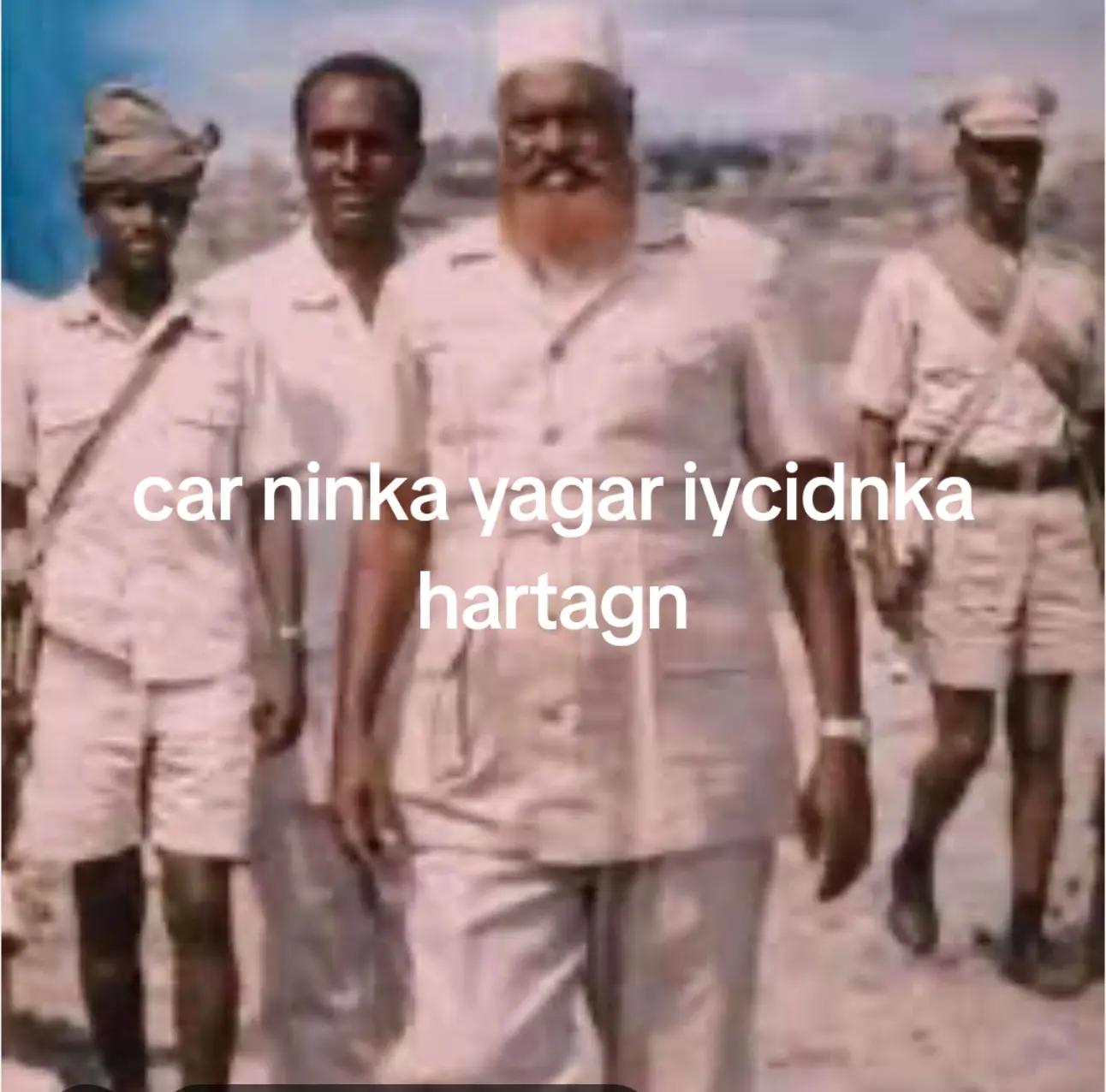 @caano geeel